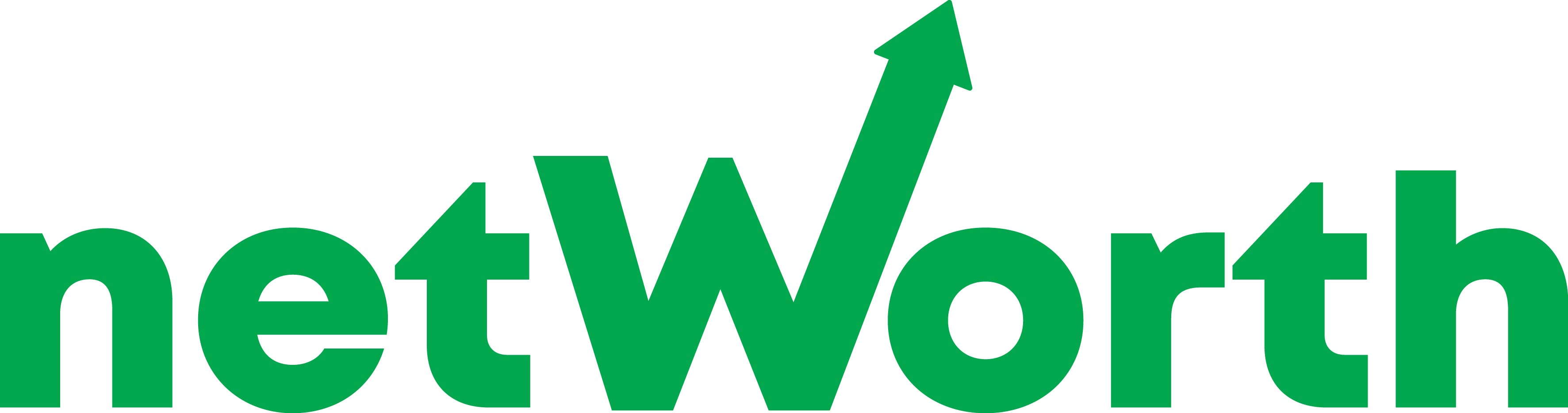netWorth asesor financiero