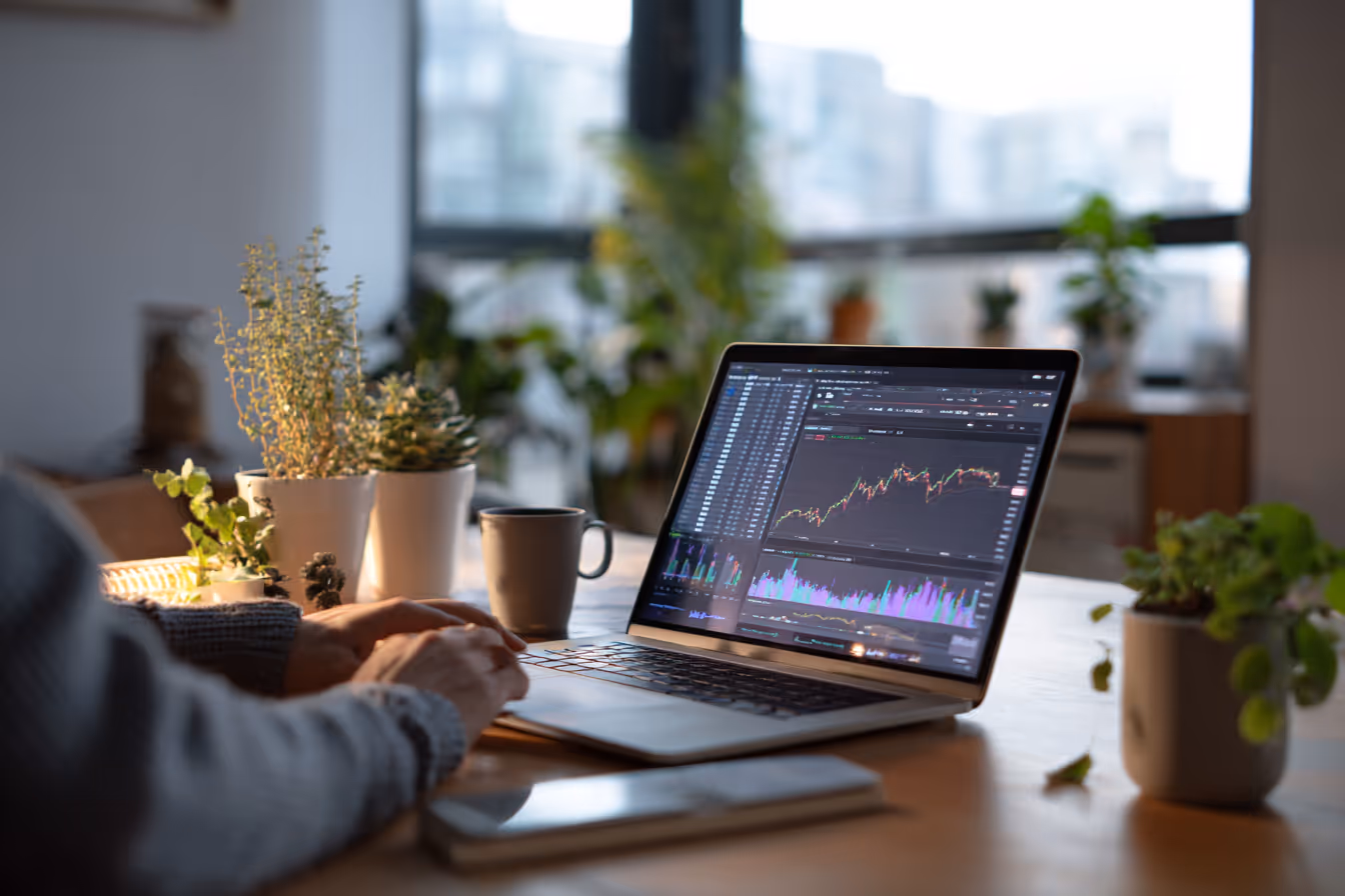 Finance laptop, services picture