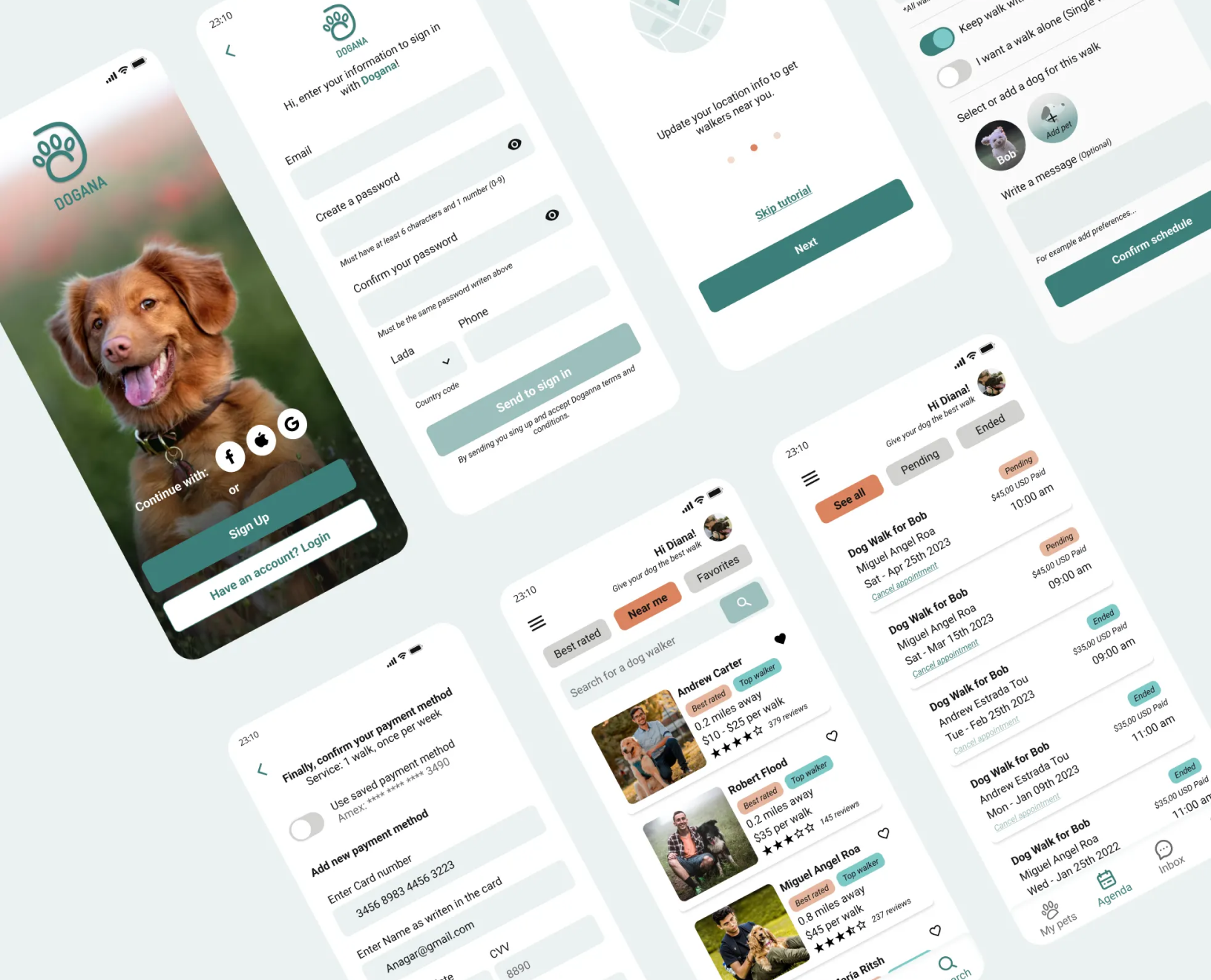 Web Design
