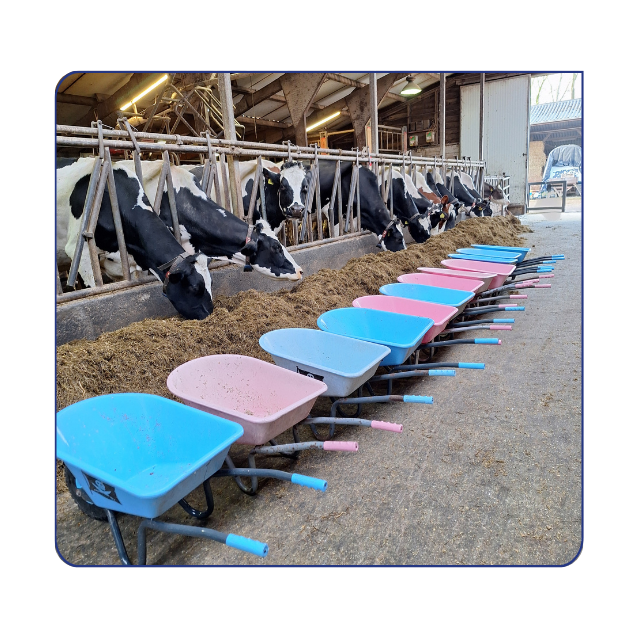 Op avontuur bij Boerderij Wammes