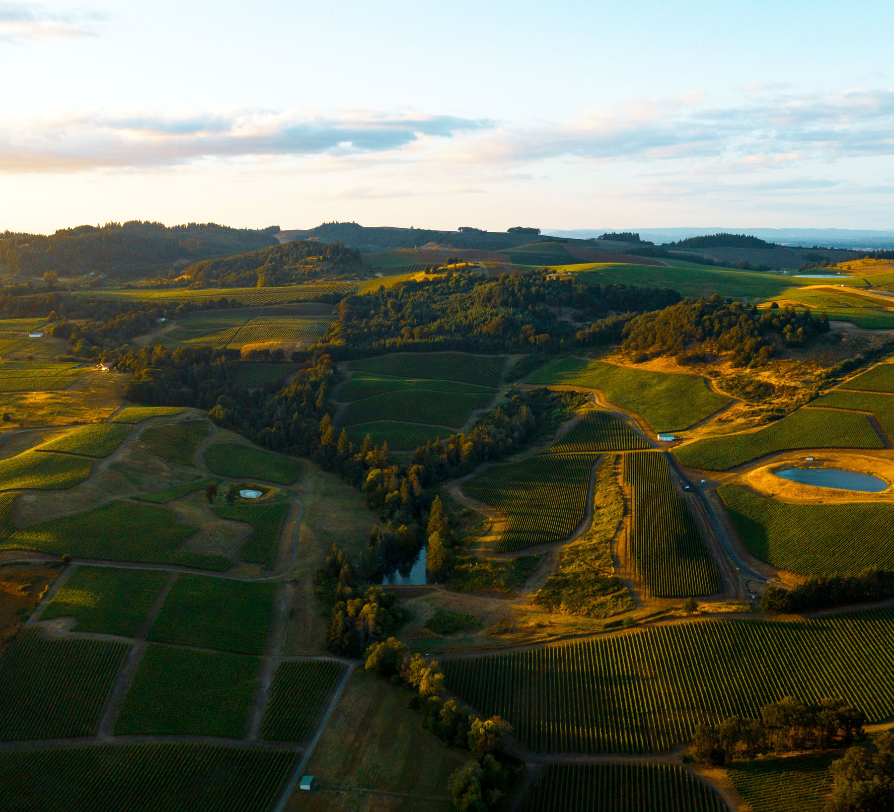Aerial view of farmland with green fields, trees, a pond, and hills under a partly cloudy sky.