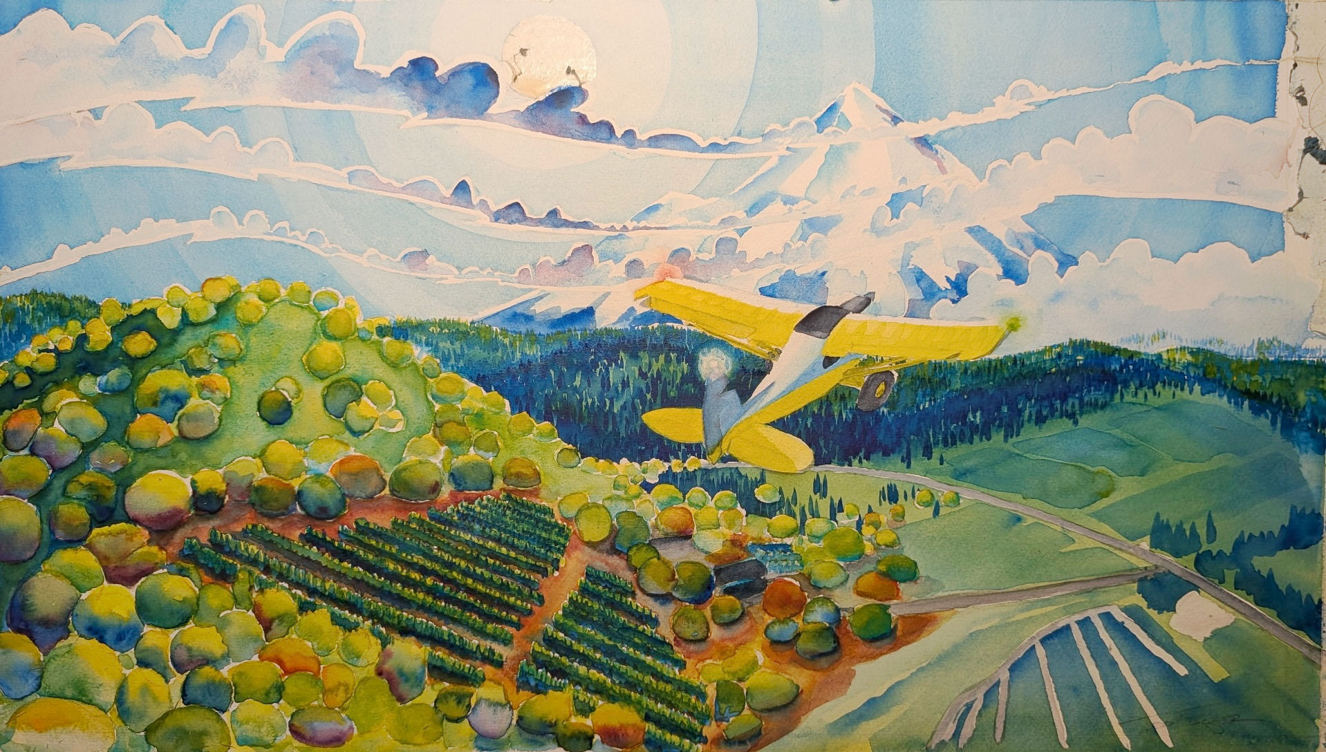Watercolor painting of a yellow plane flying over green hills and vineyards with mountains and clouds behind.