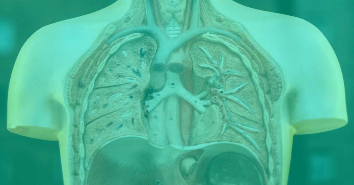 If You Want To Sell More, Prove It. (Making Your Sales Reps Life Easier Will Satisfy Everyone)