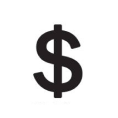 Dollar Sign icon