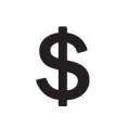 Dollar Sign icon