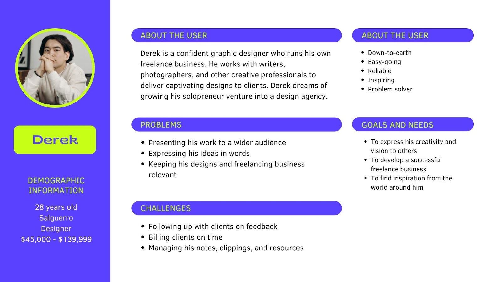 Sample user persona
