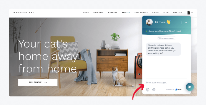 Conversational experiences to engage shoppers better