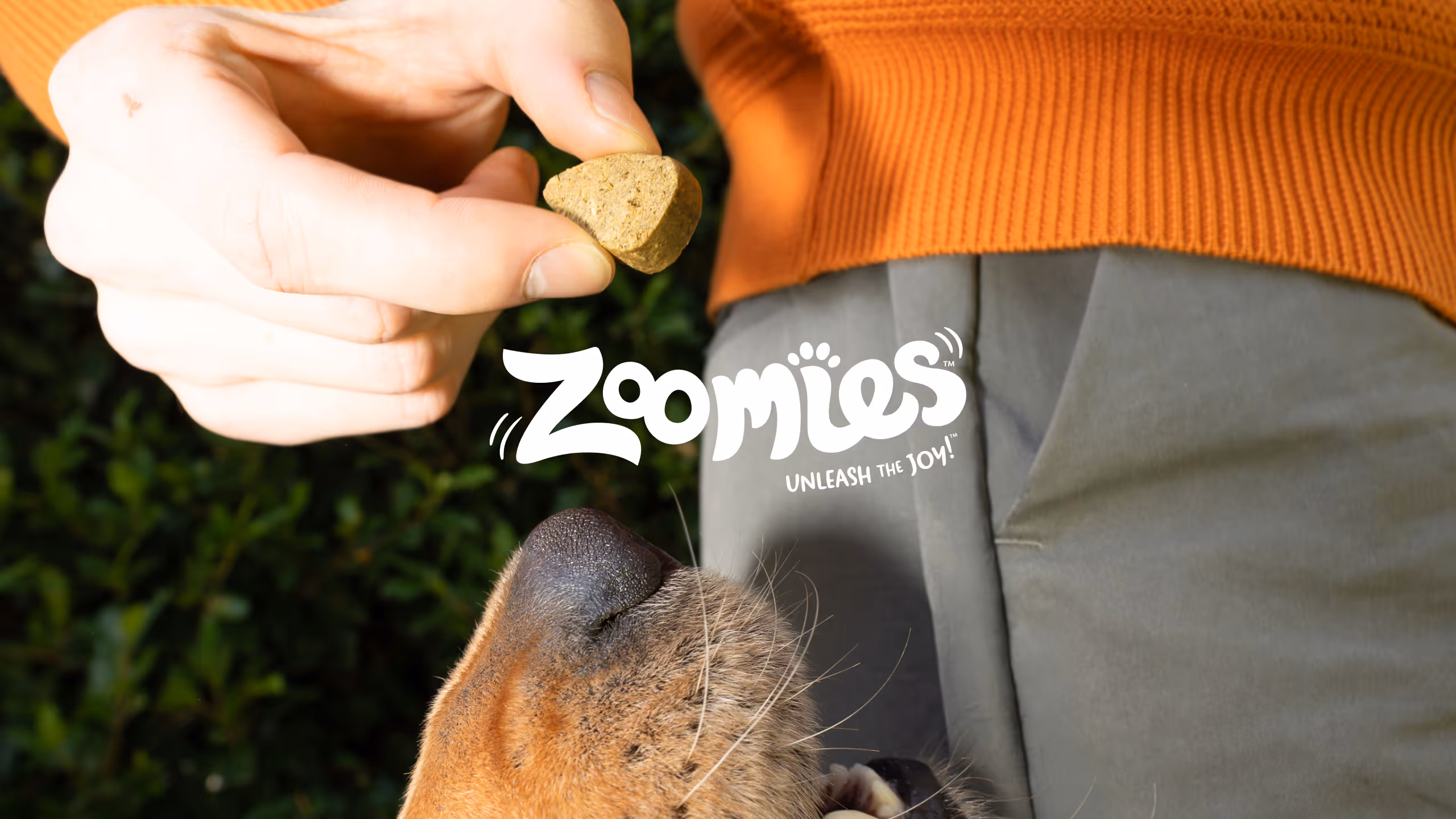 Zoomies Dog Treats Website. Life is better when you unleash the joy.