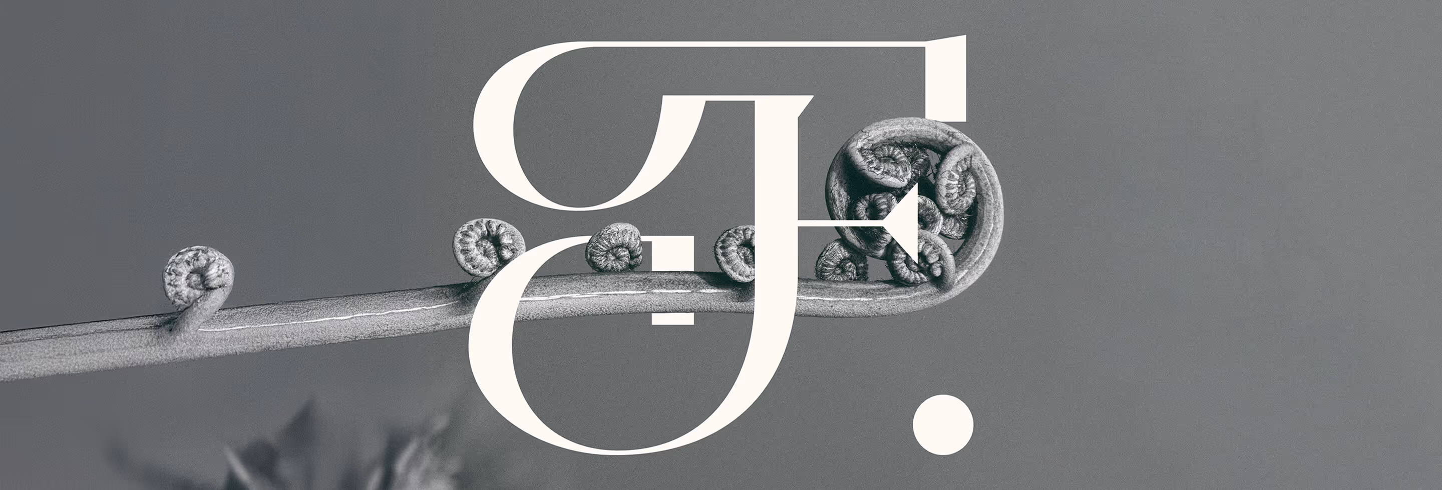 The fenwick monogram curled around a fern in grayscale; Fenwick's website header image