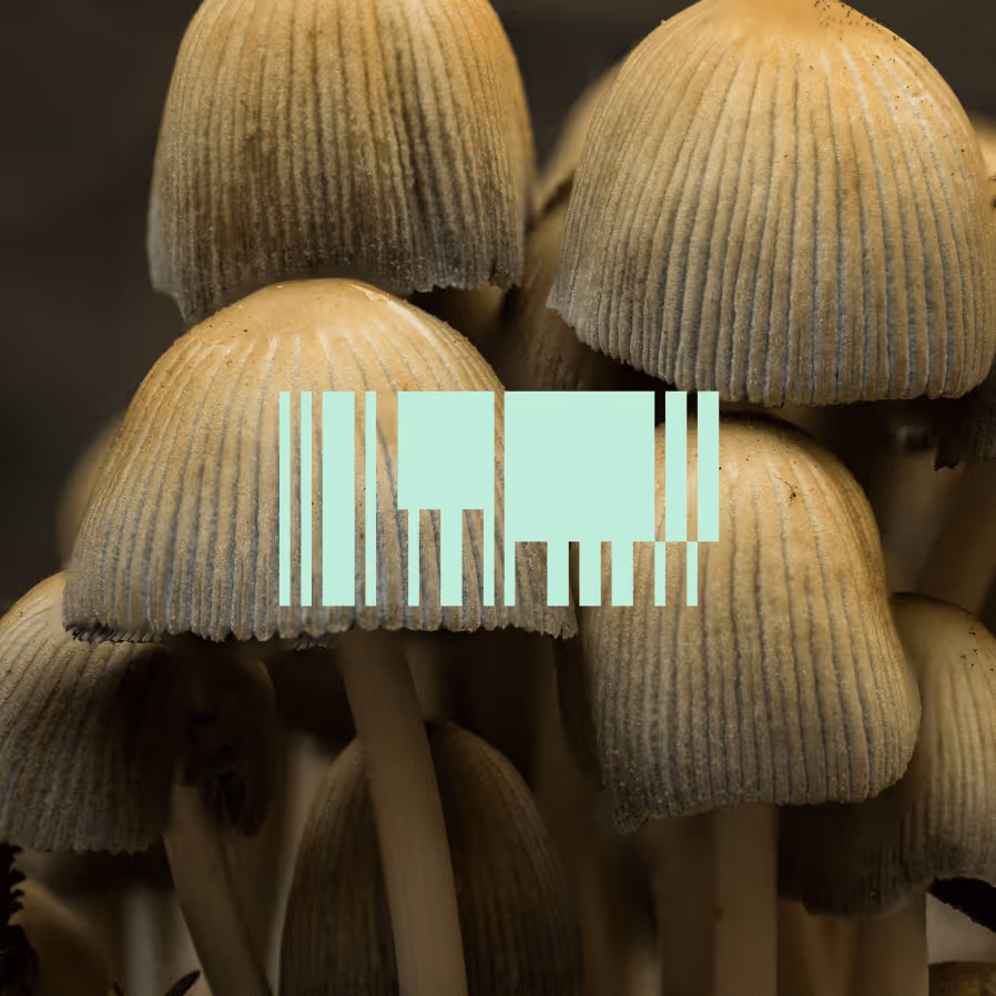 Scale Venture Partners logo