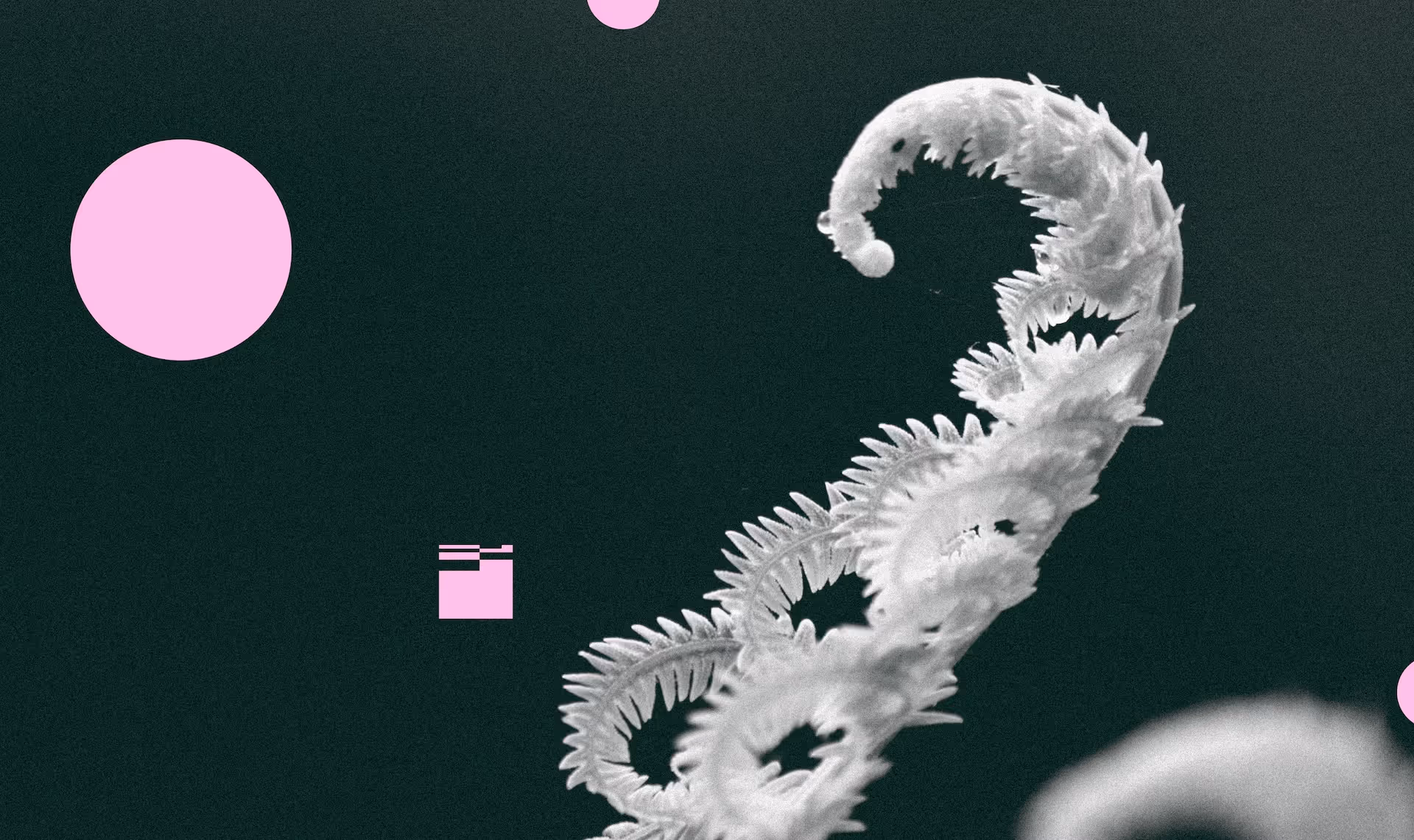 The fenwick monogram curled around a fern in grayscale; Fenwick's website header image