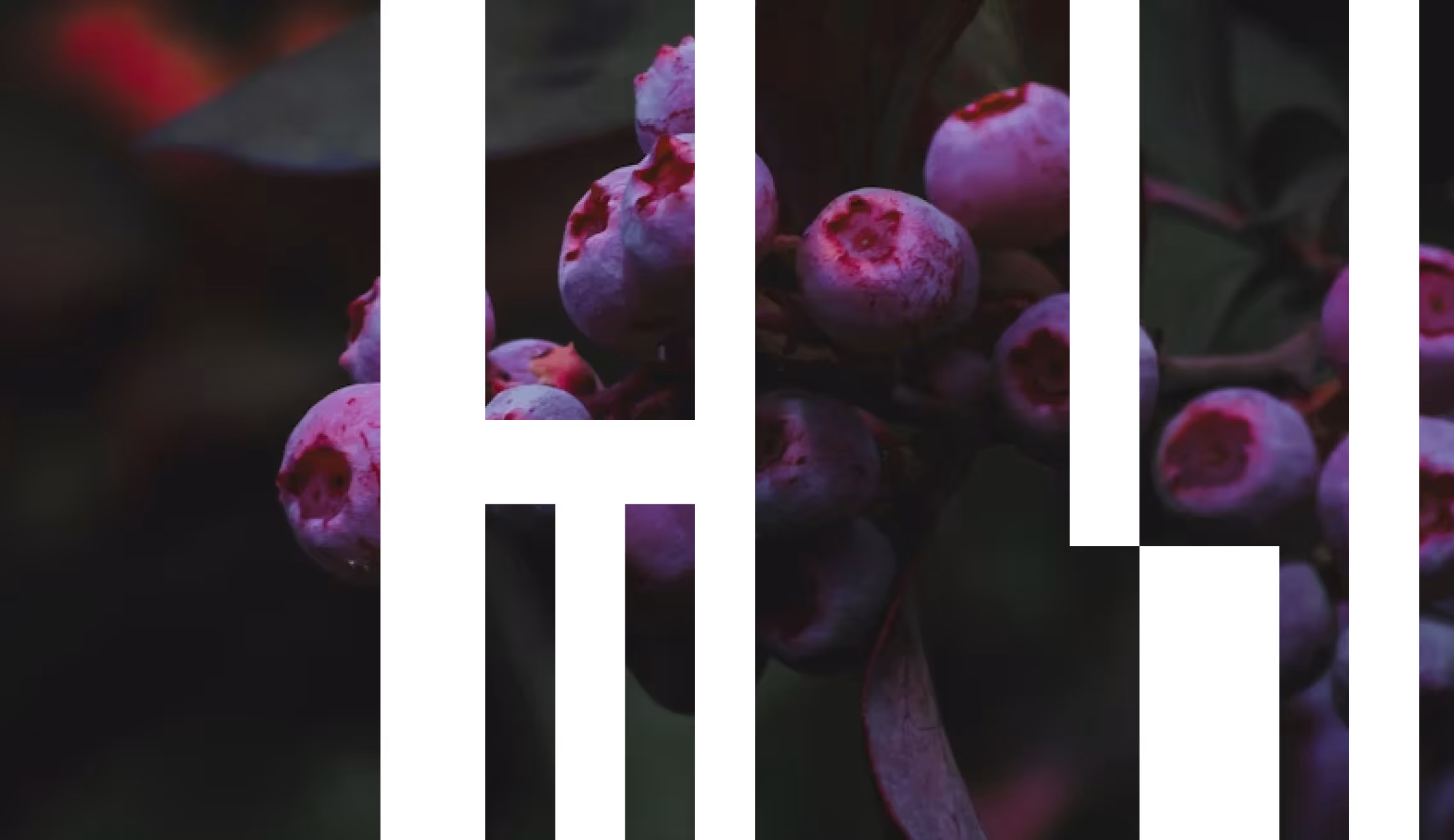 A fenwick glyph showing a desert