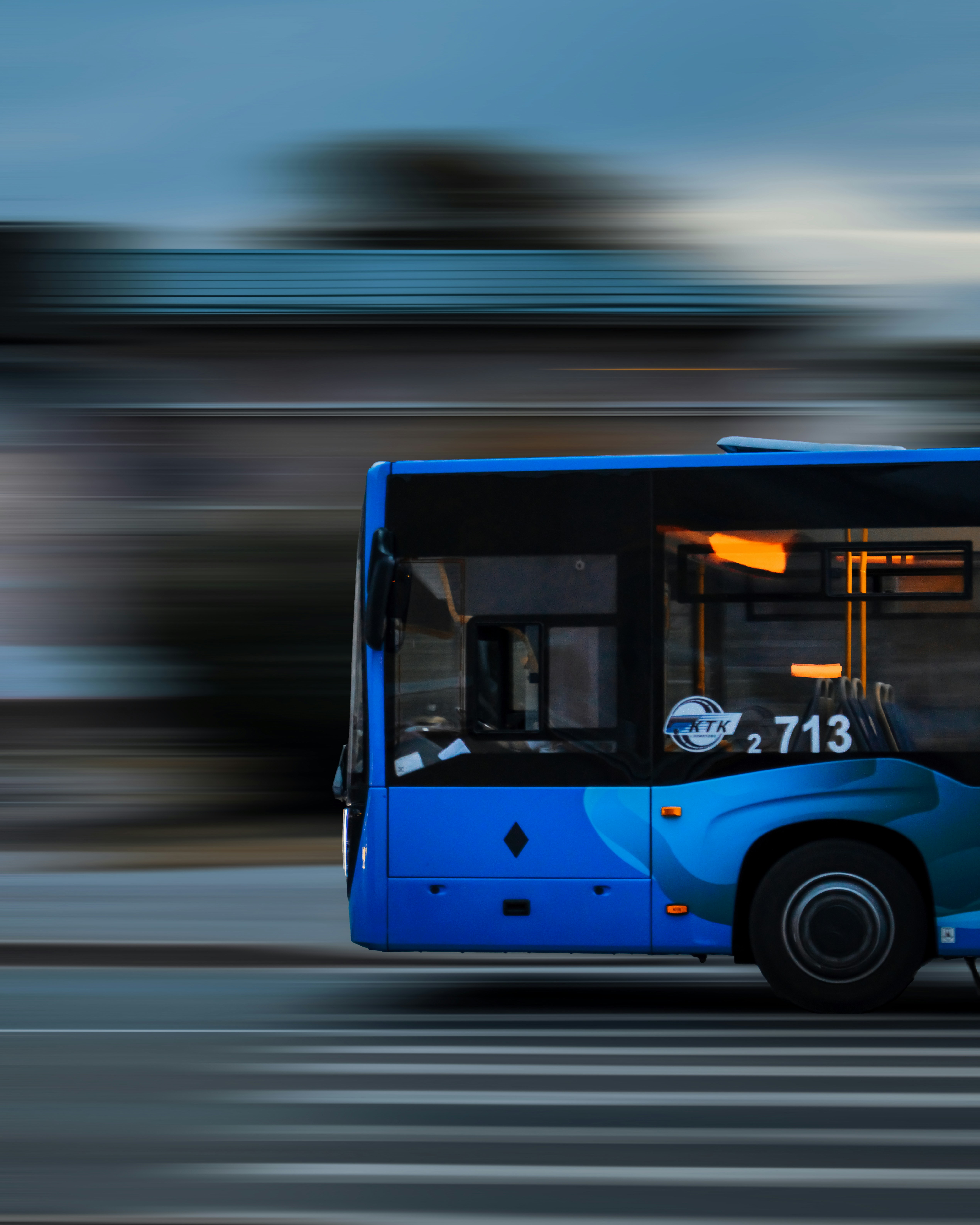 Public and private passenger transport networks