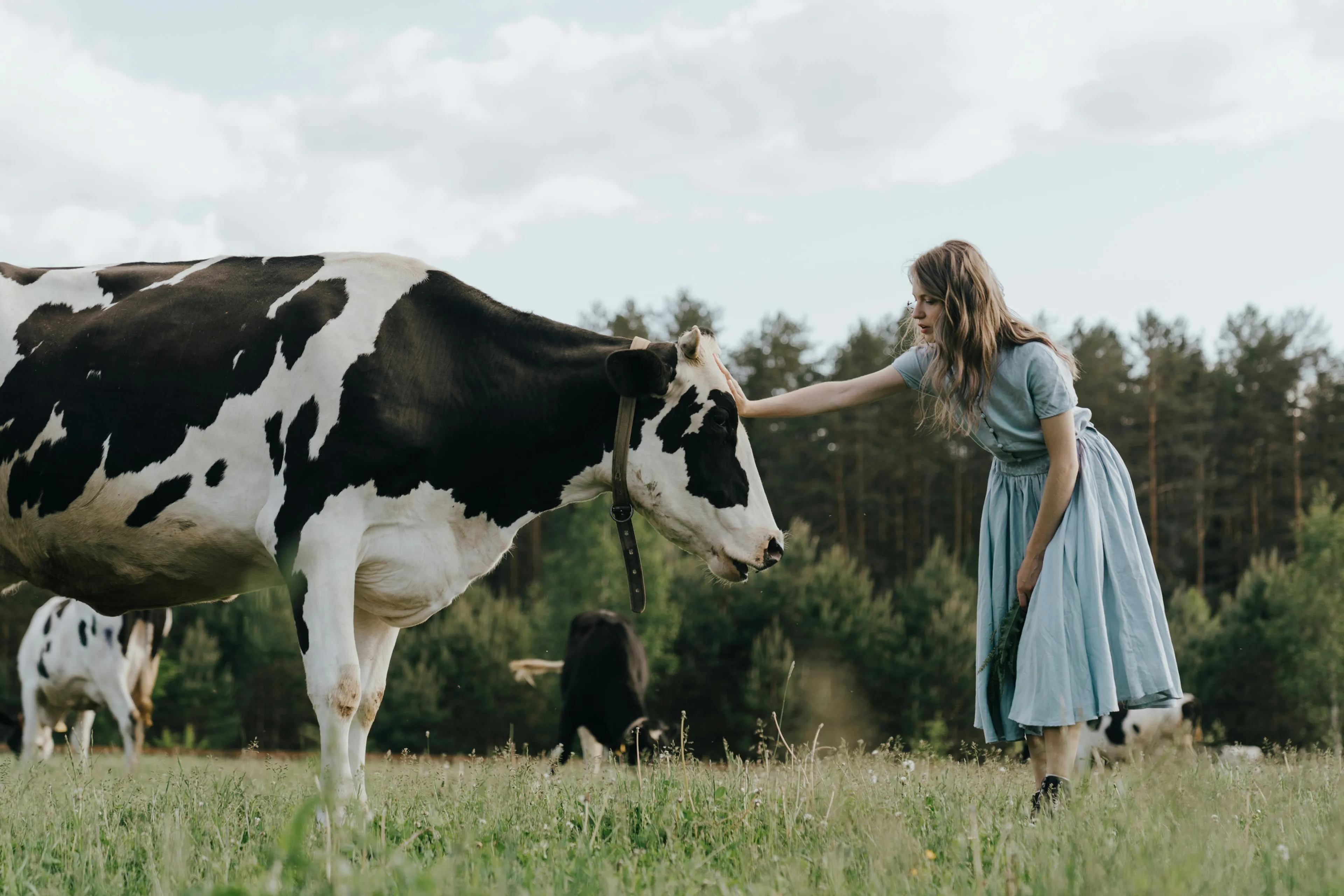 Girl with Cow