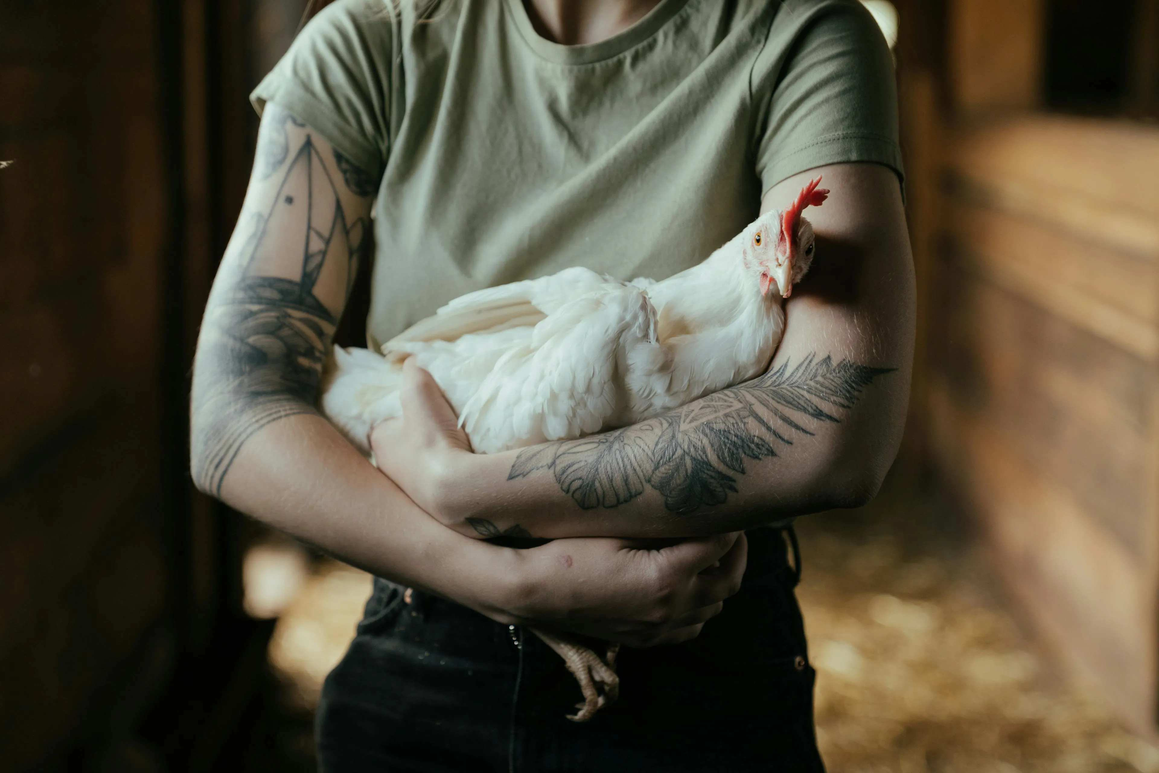 Farmer with Chicken