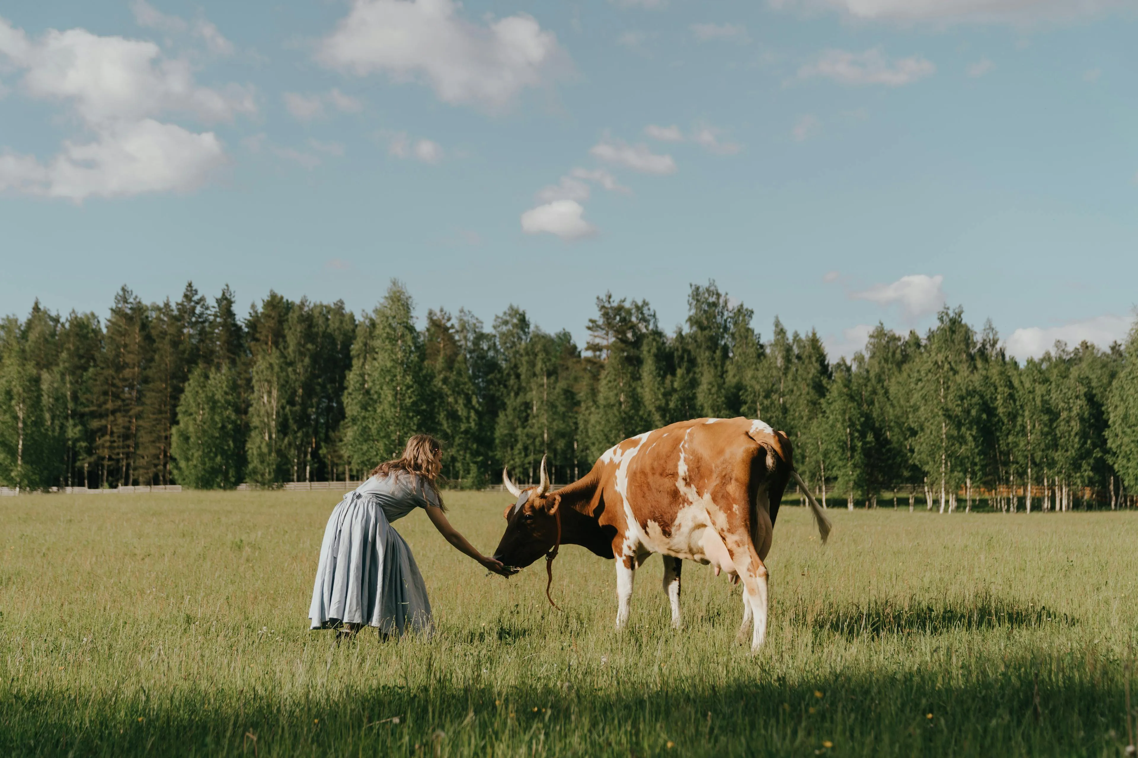 Girl with cow
