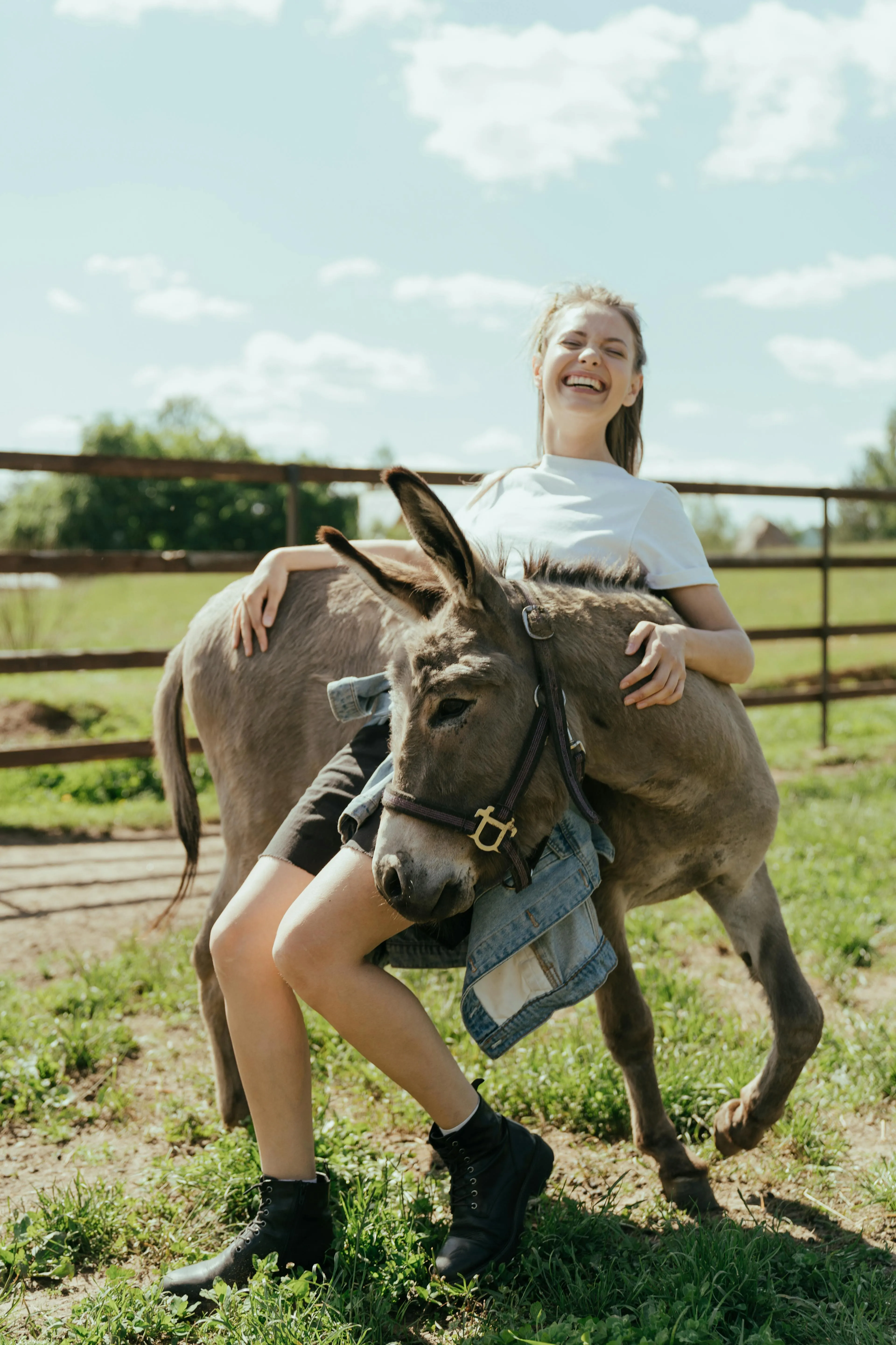 Girl playing with Donkey