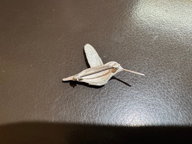 Silver cast hummingbird pin