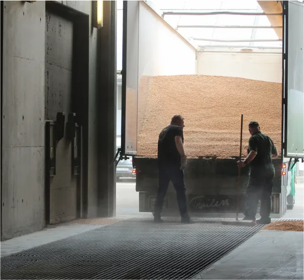 LKW schüttet ab - Agrargut