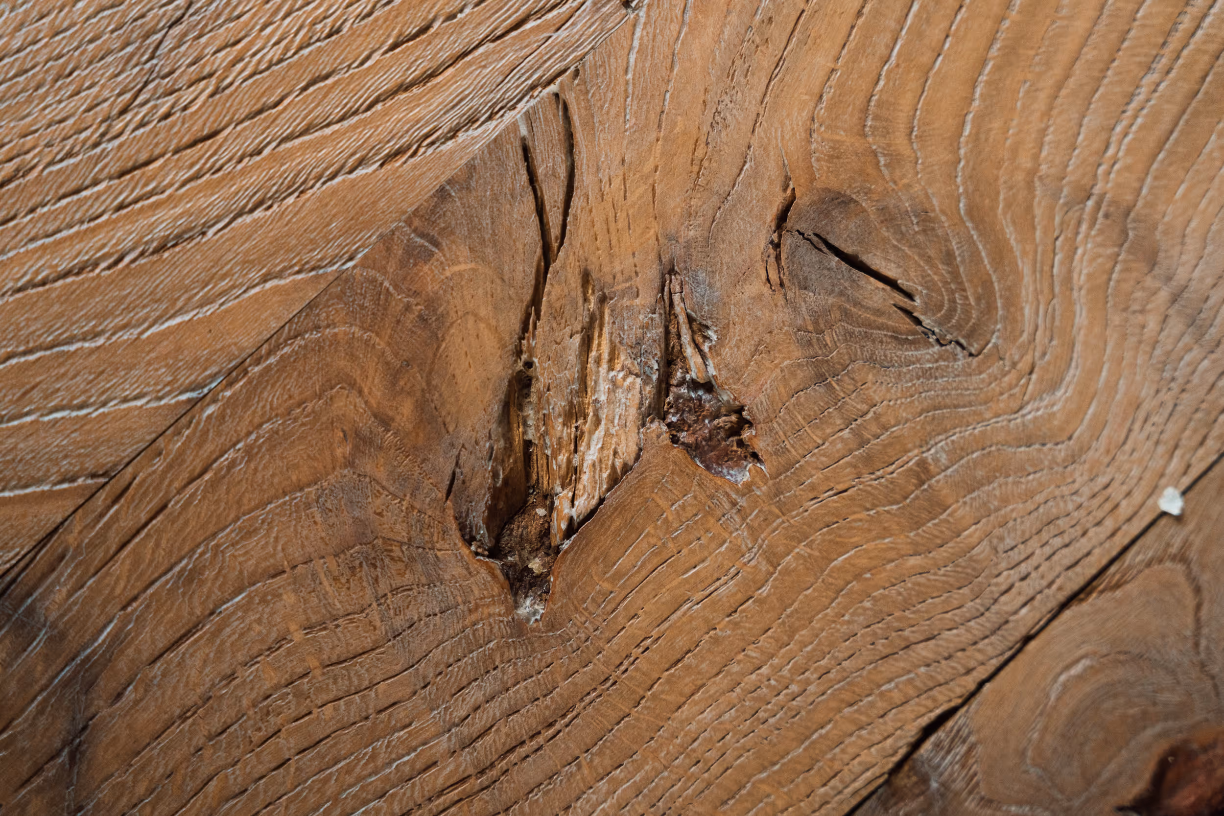 Zbliżenie na surowe, stare drewno pęknięte drewno z wyraźnymi słojami i uszkodzeniami.