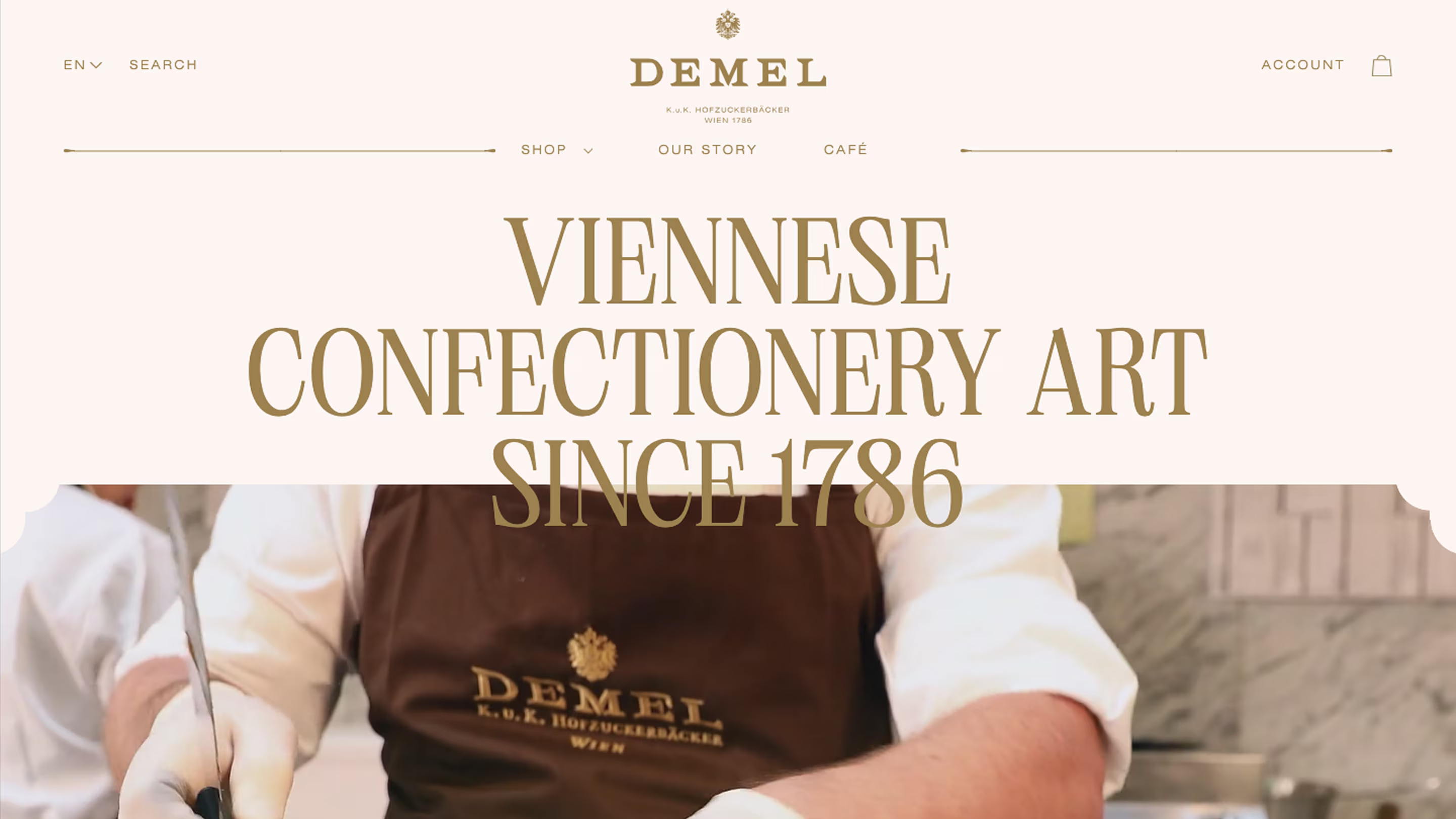 Screenshot von der DEMEL Website - Above the Fold