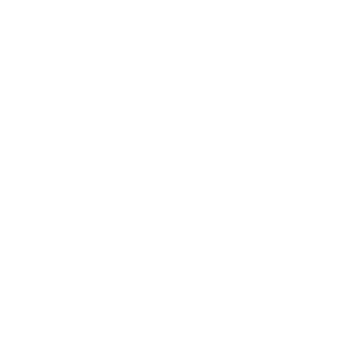 Österreich Institut logo
