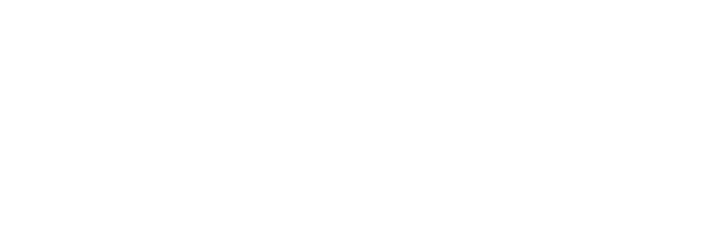 itsv logo