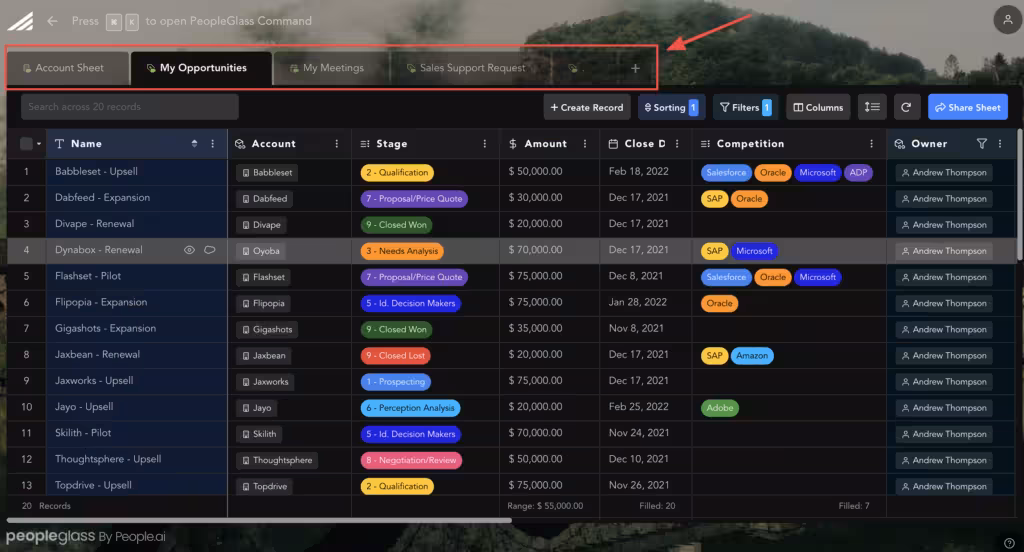 PeopleGlass by People AI