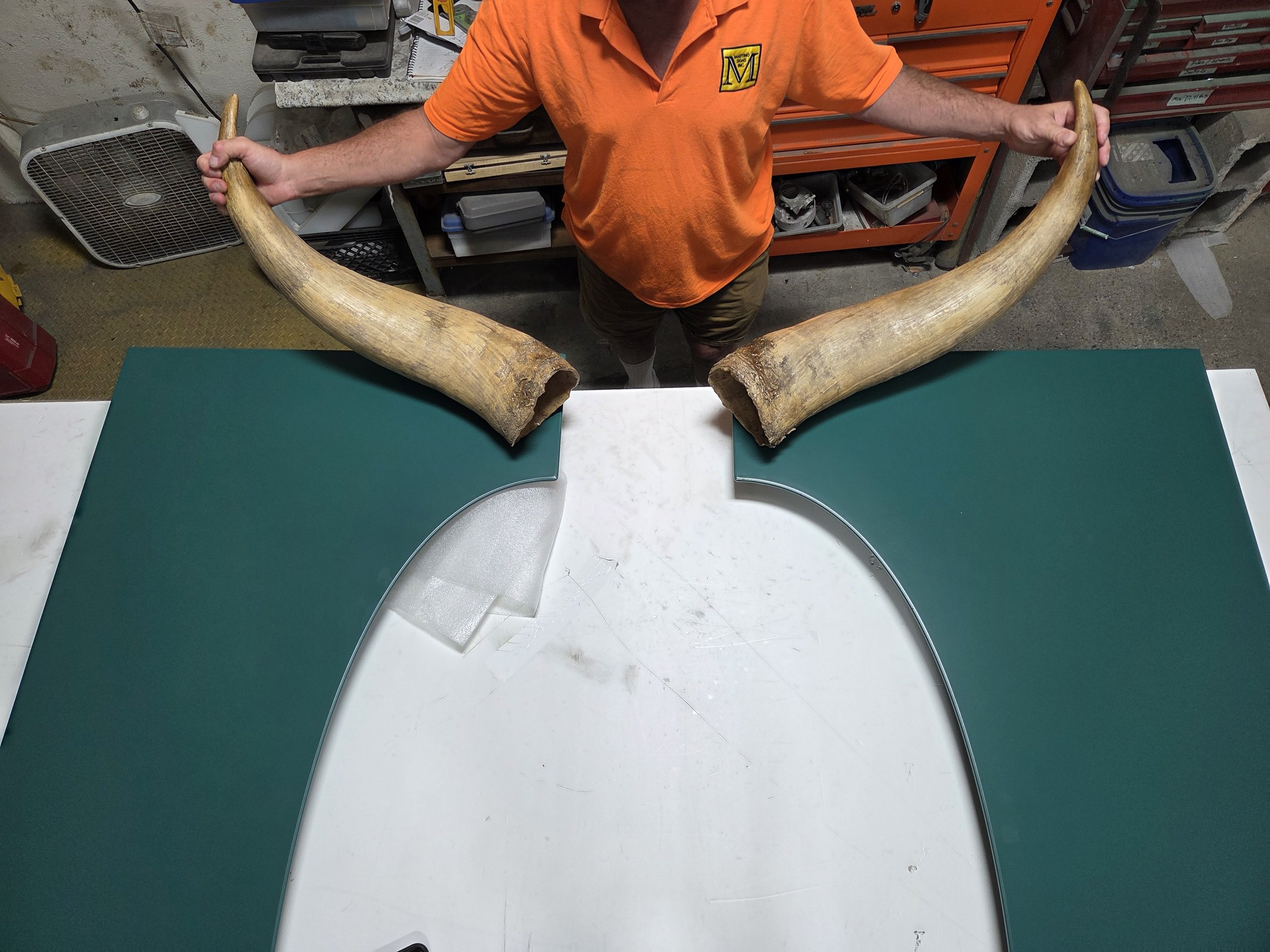 Martino Signs crew member holding both resin filled Ankole horns over the painted backer in the shop