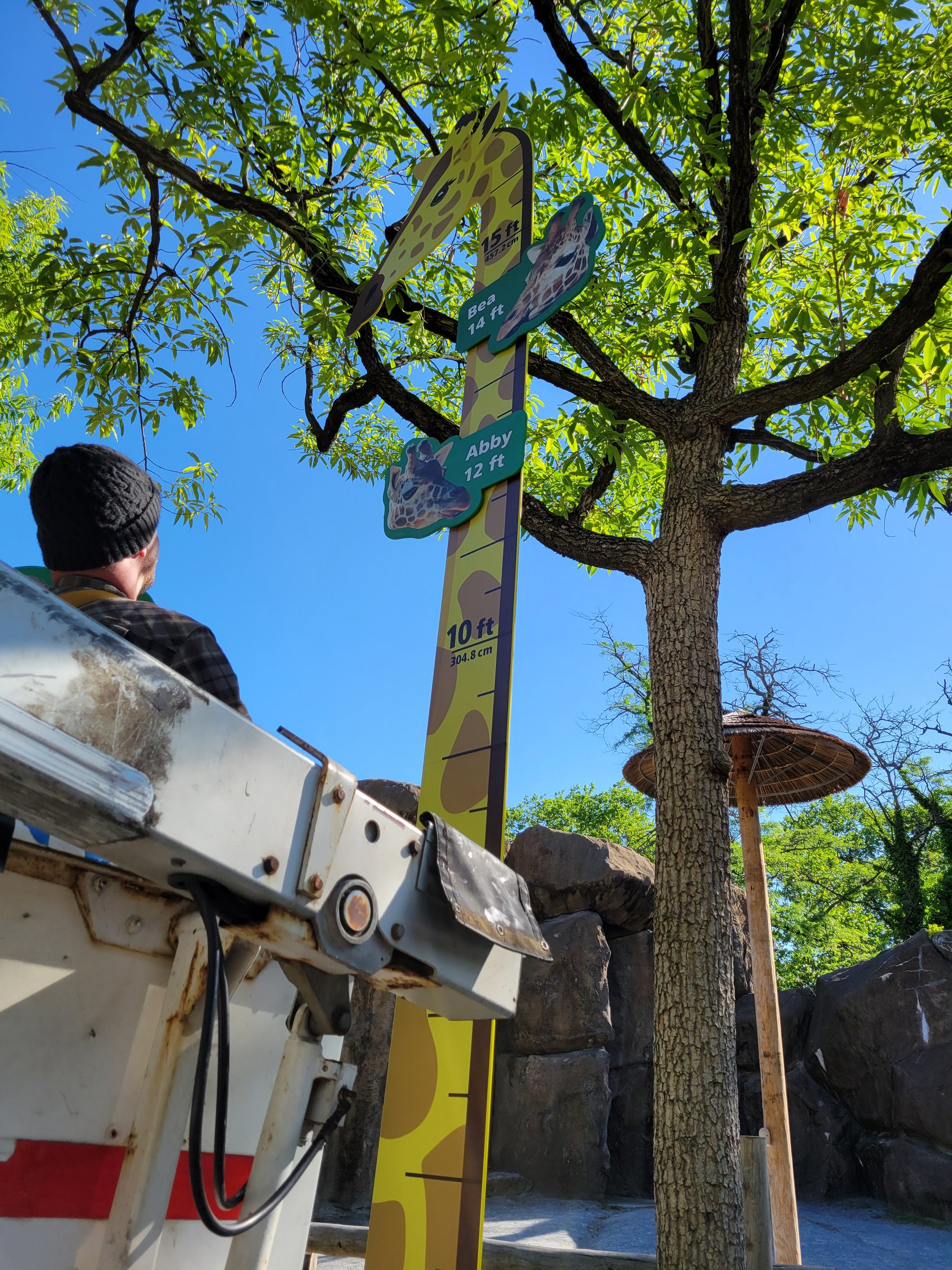 Bucket truck at the giraffe sign's head during installation