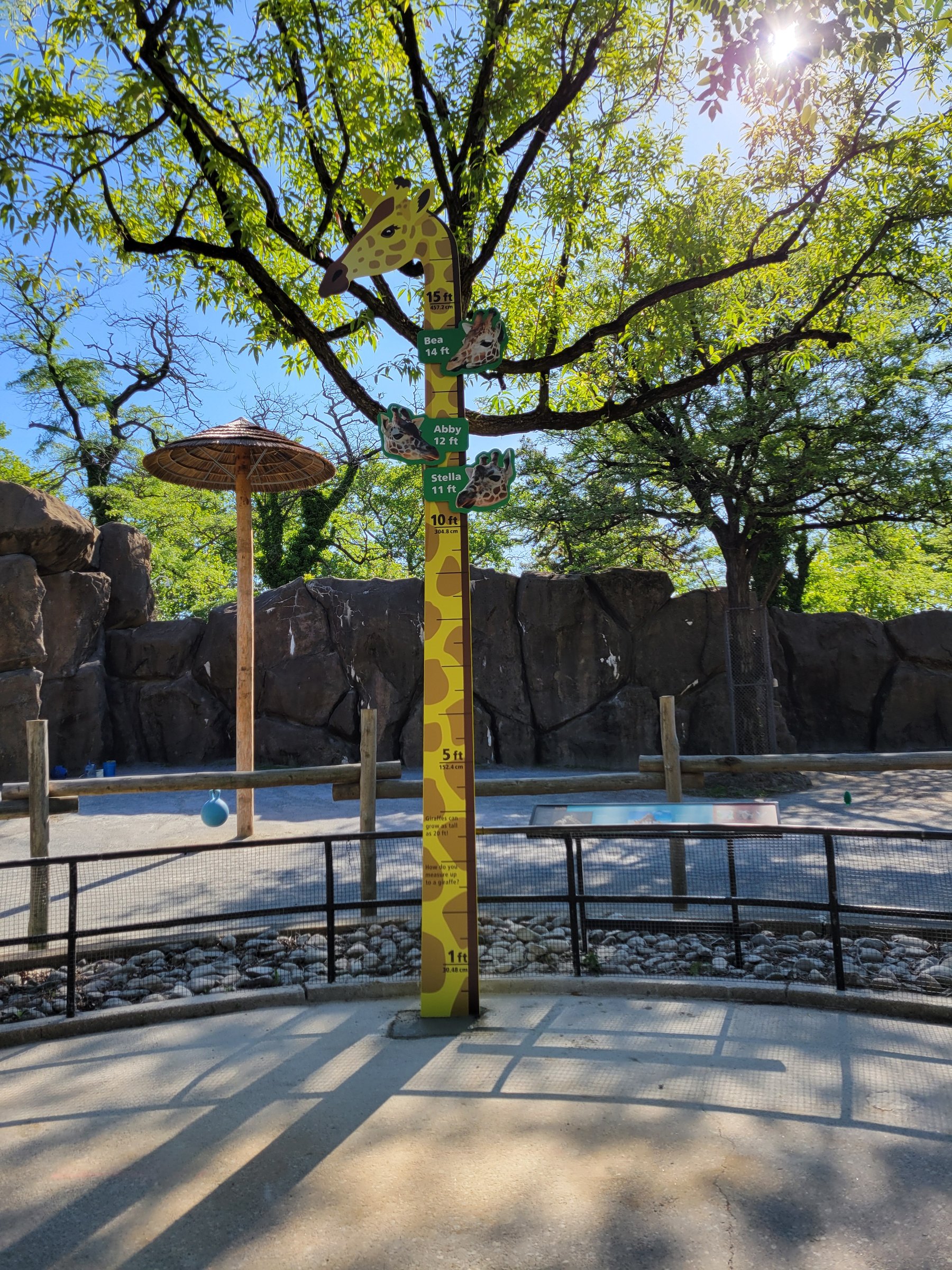 Full height giraffe marker sign against a blue sky