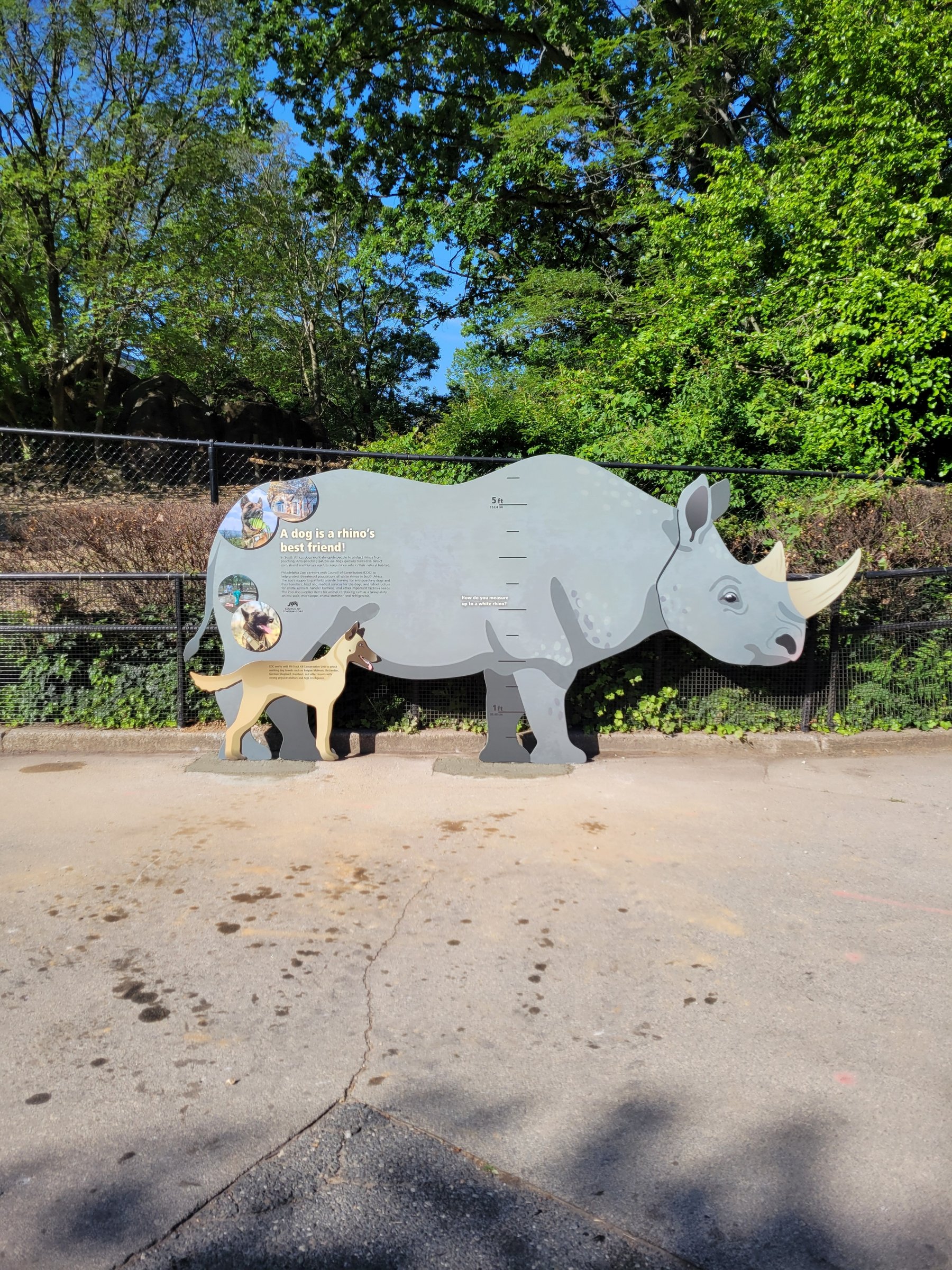 The rhino sign in place on install day