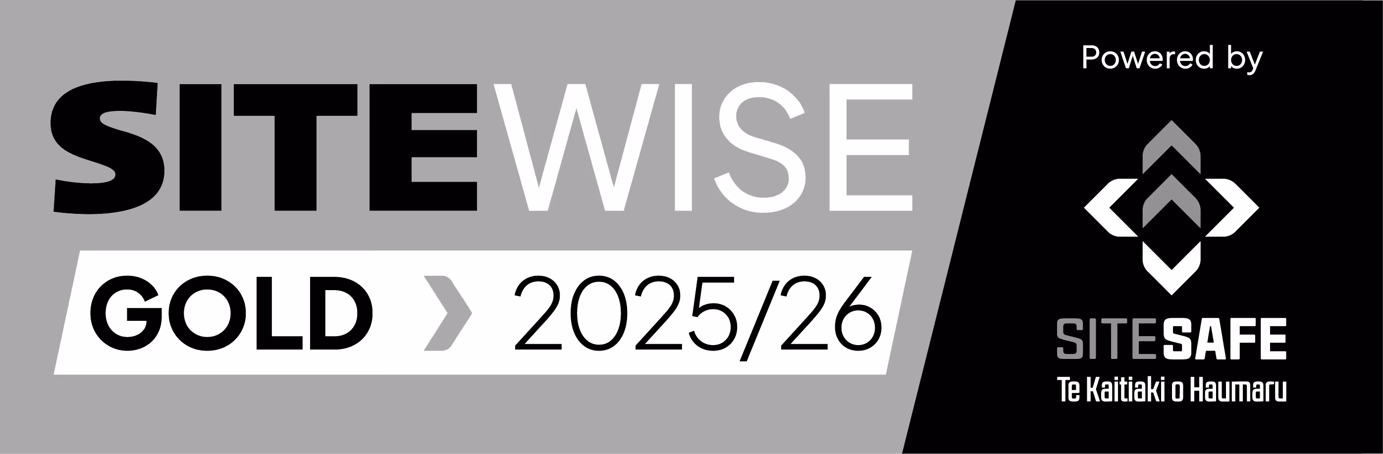 AriseHealth logo