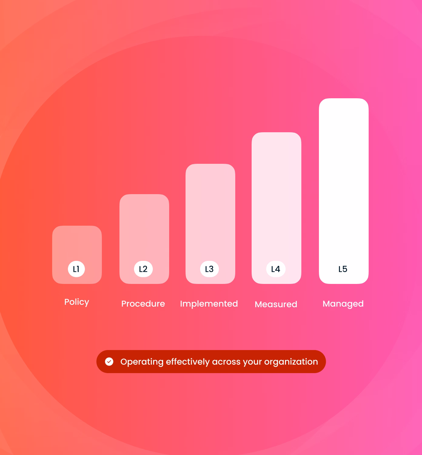 A vertical bar chart with five ascending bars labeled L1 to L5, representing stages: Policy, Procedure, Implemented, Measured, and Managed, on a pink and orange gradient background; below is a red oval badge with a check icon and text reading 'Operating effectively across your organization.'