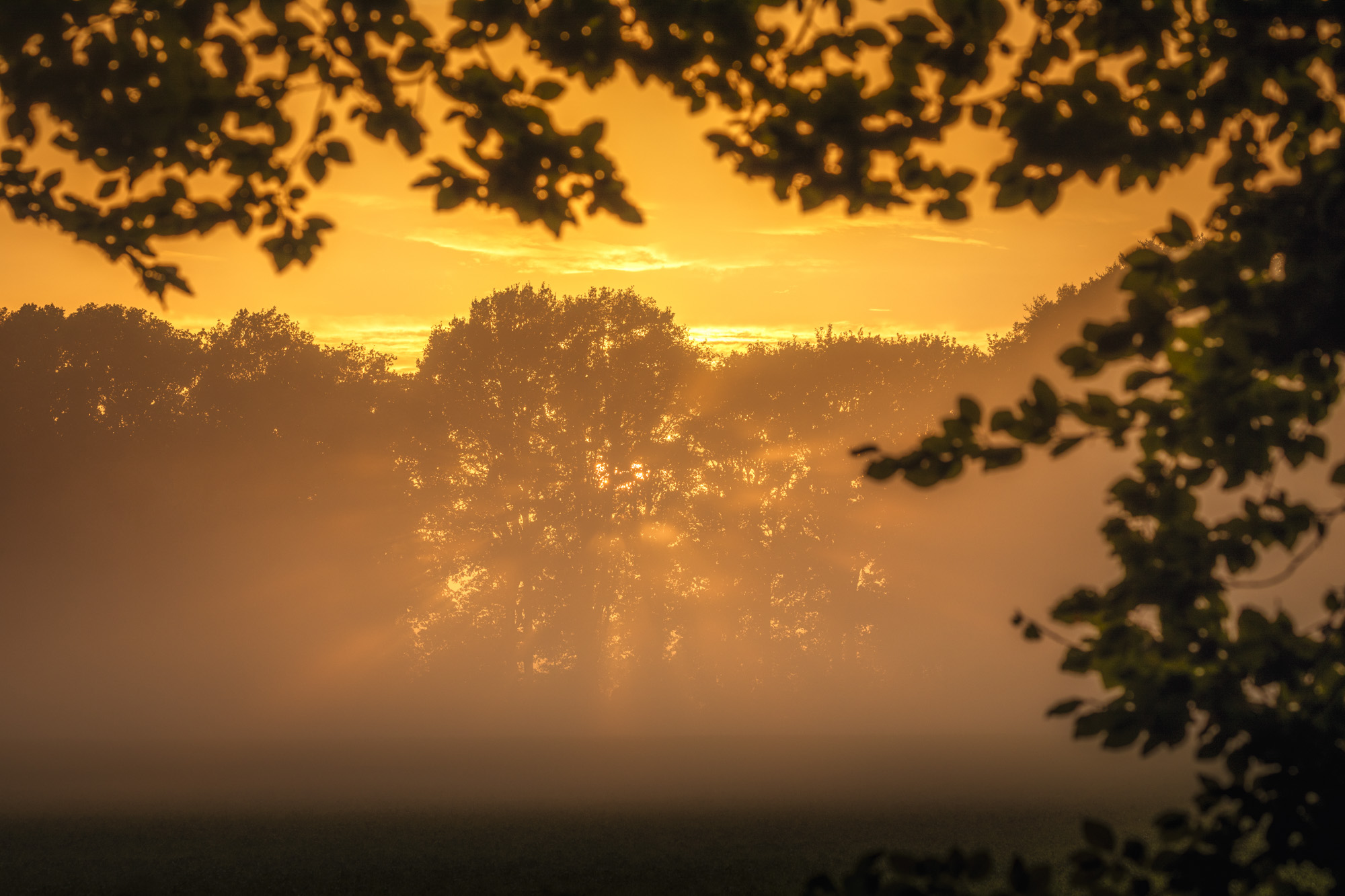 Een moment dat blijft