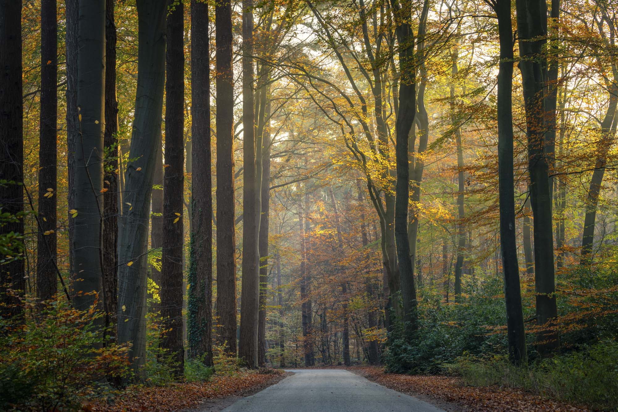 Wanneer het licht doorbreekt