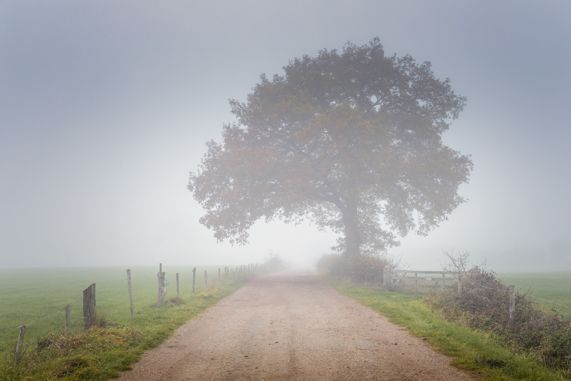 Stiller dan dit wordt het niet