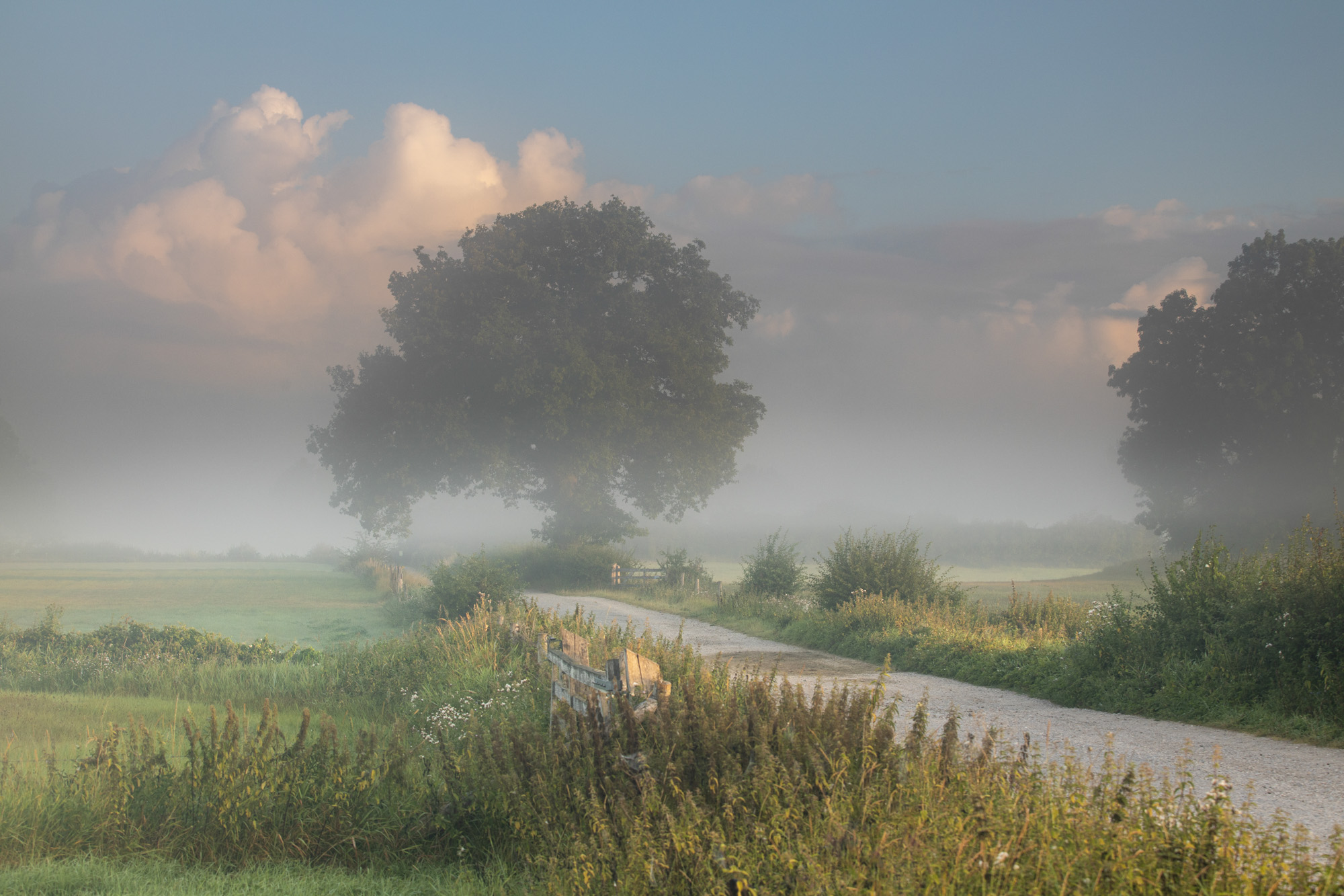 Langzaam wakker worden