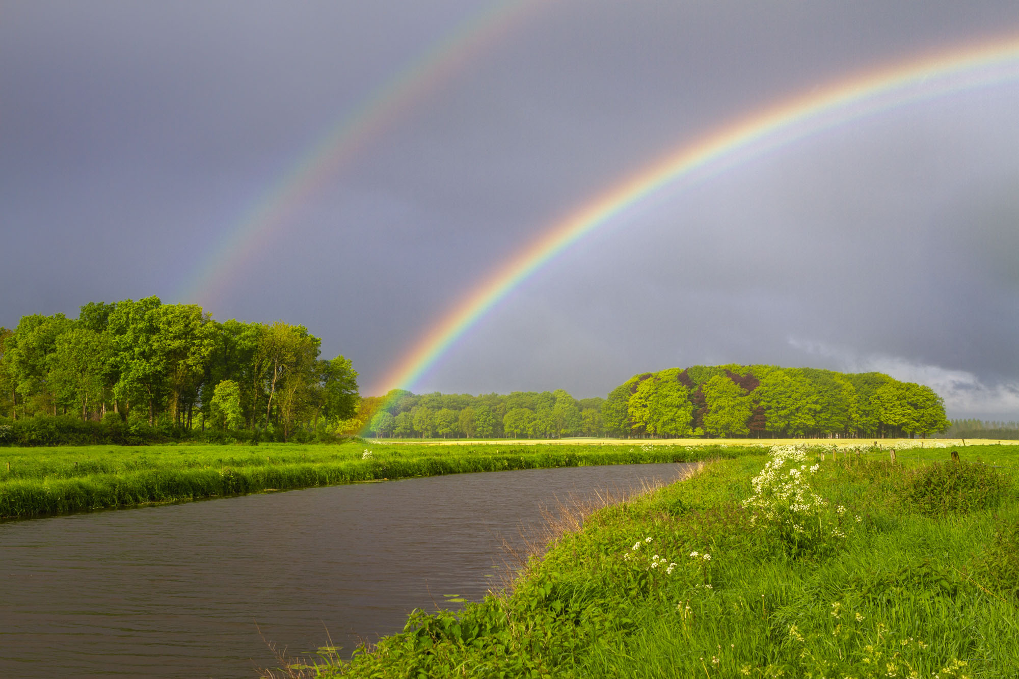 Na regen komt zonneschijn