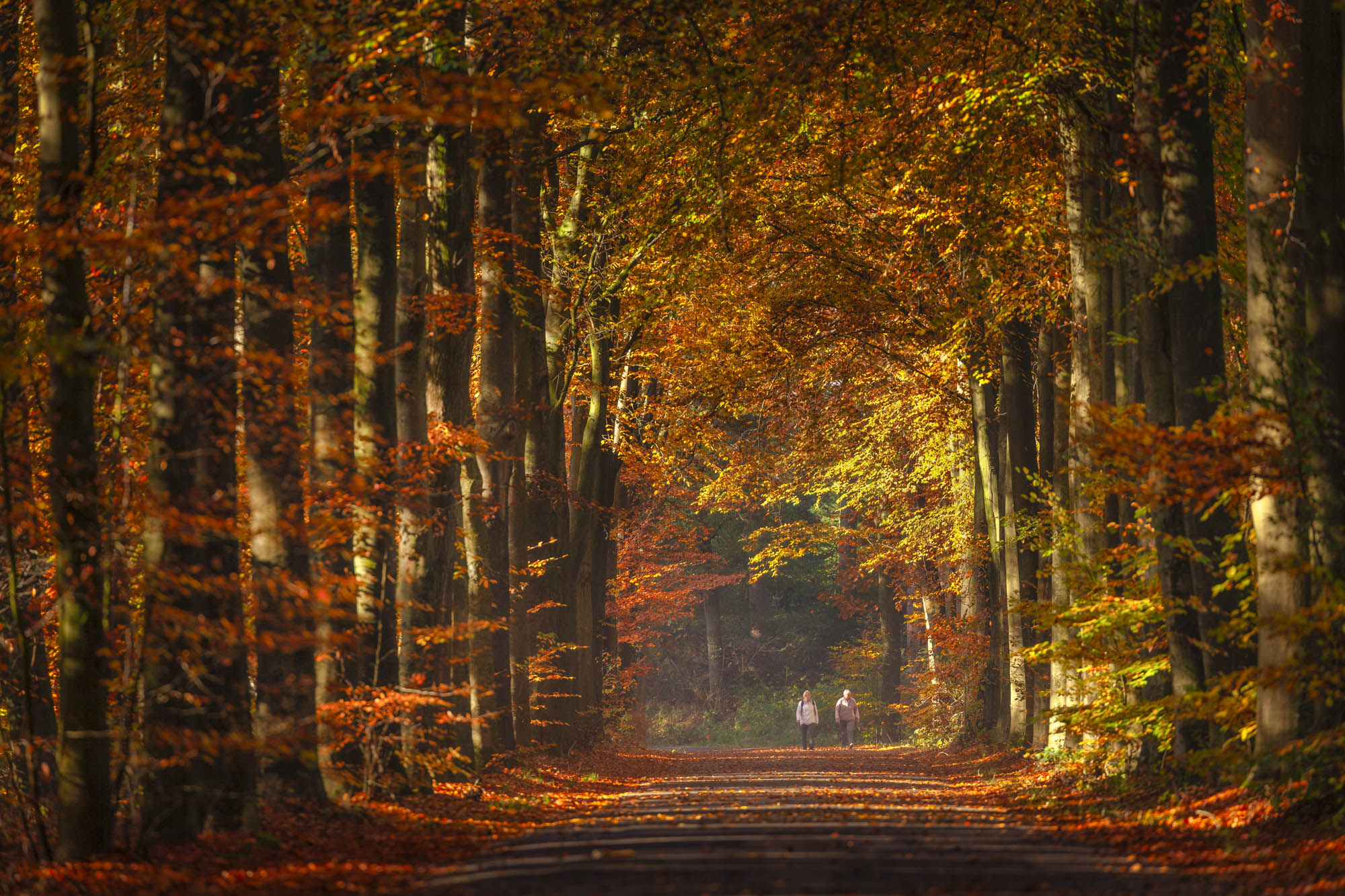 Door de koperen tunnel