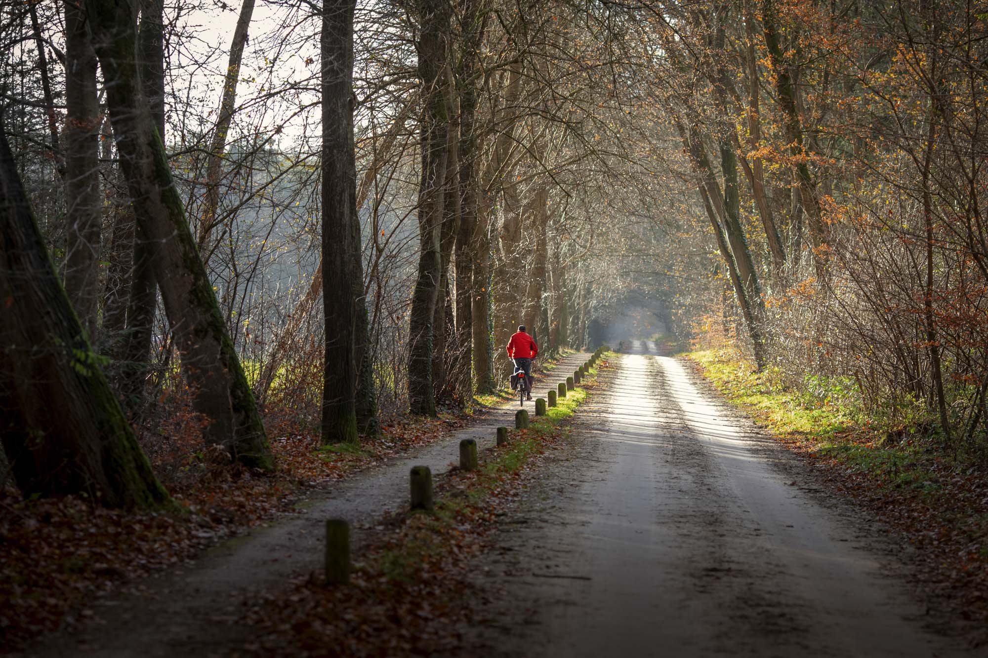 Trappen door de stilte