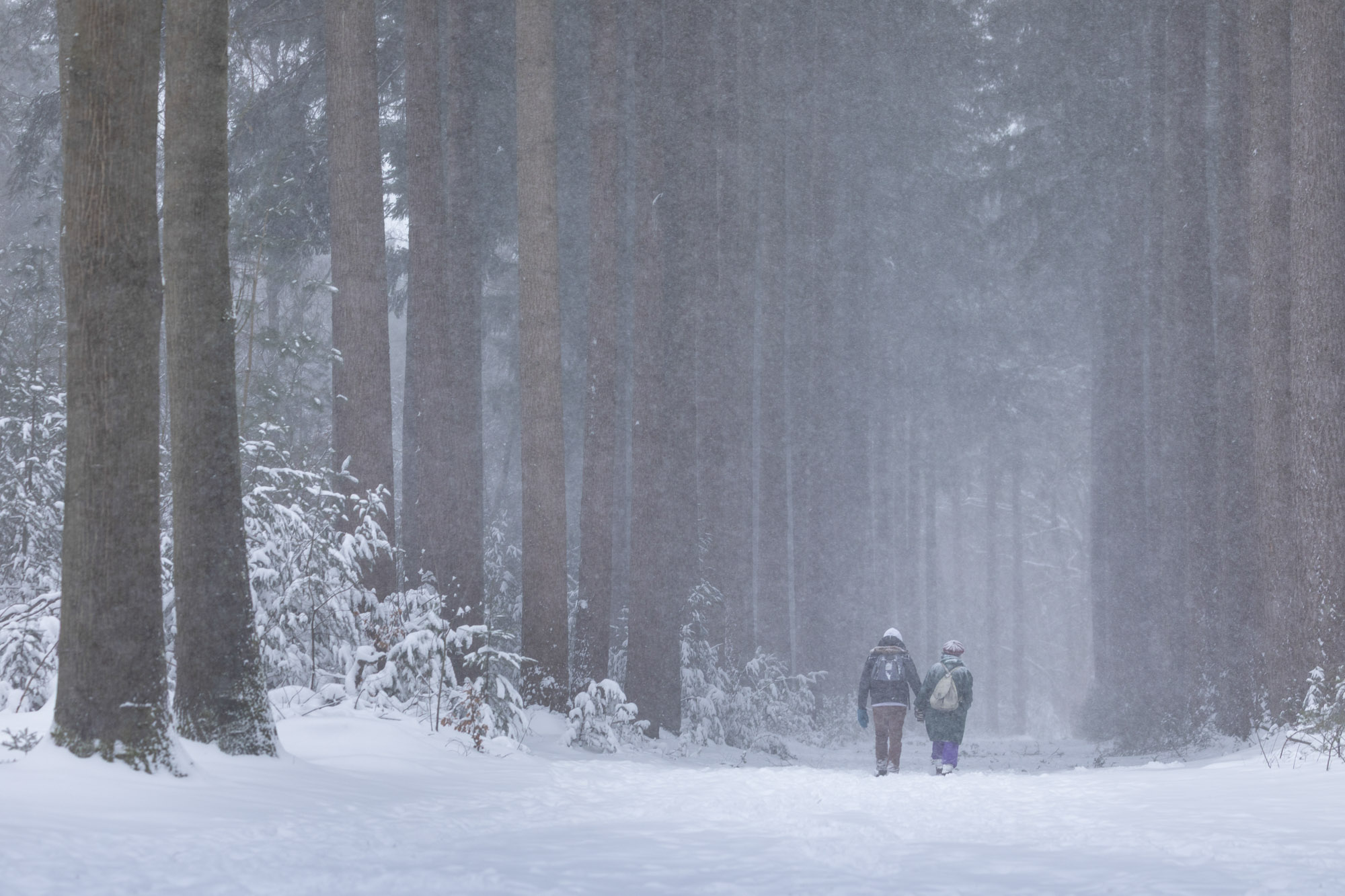 Tijd voor handschoenen
