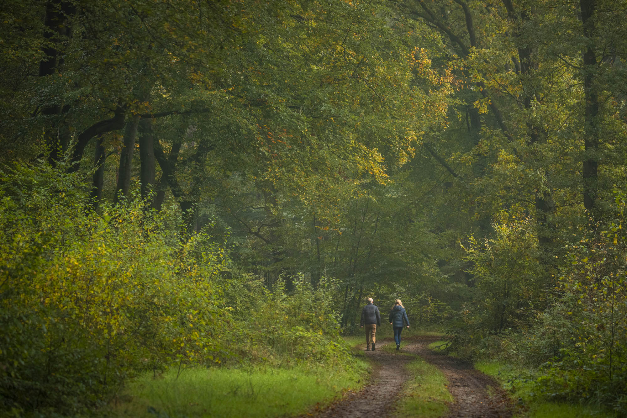 Voor het donker wordt
