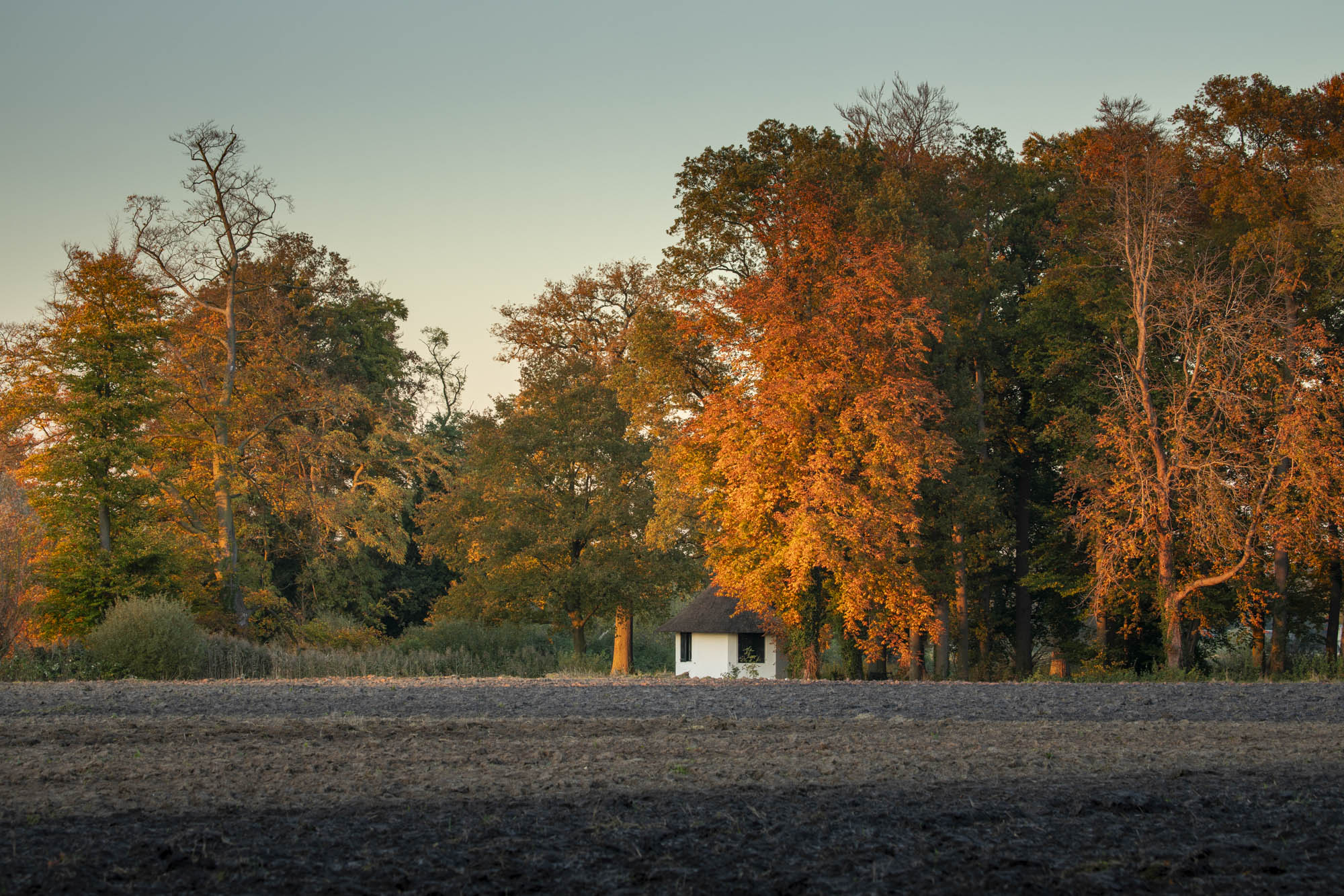 Het laatste herfstlicht