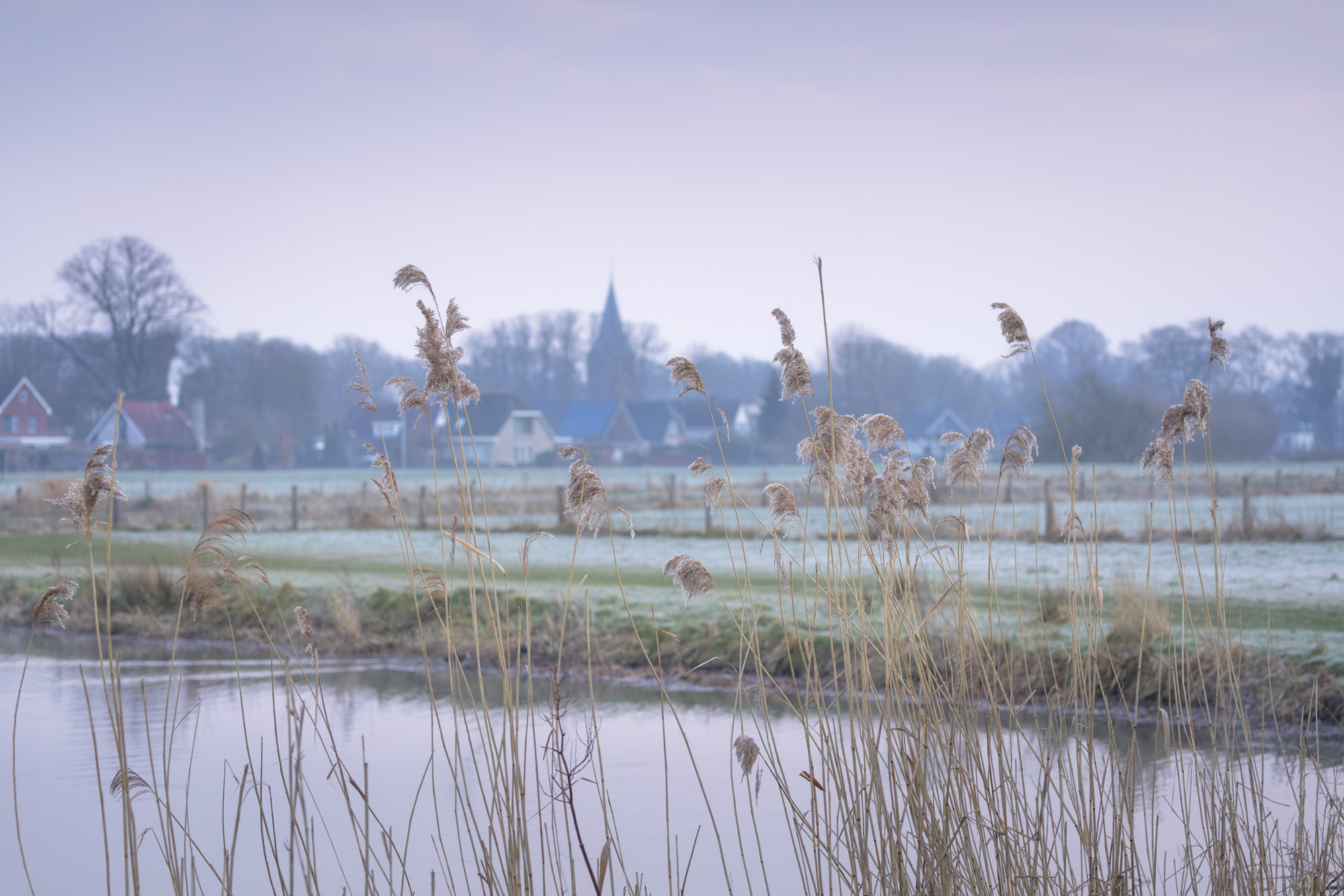 Koude ochtend langs het water