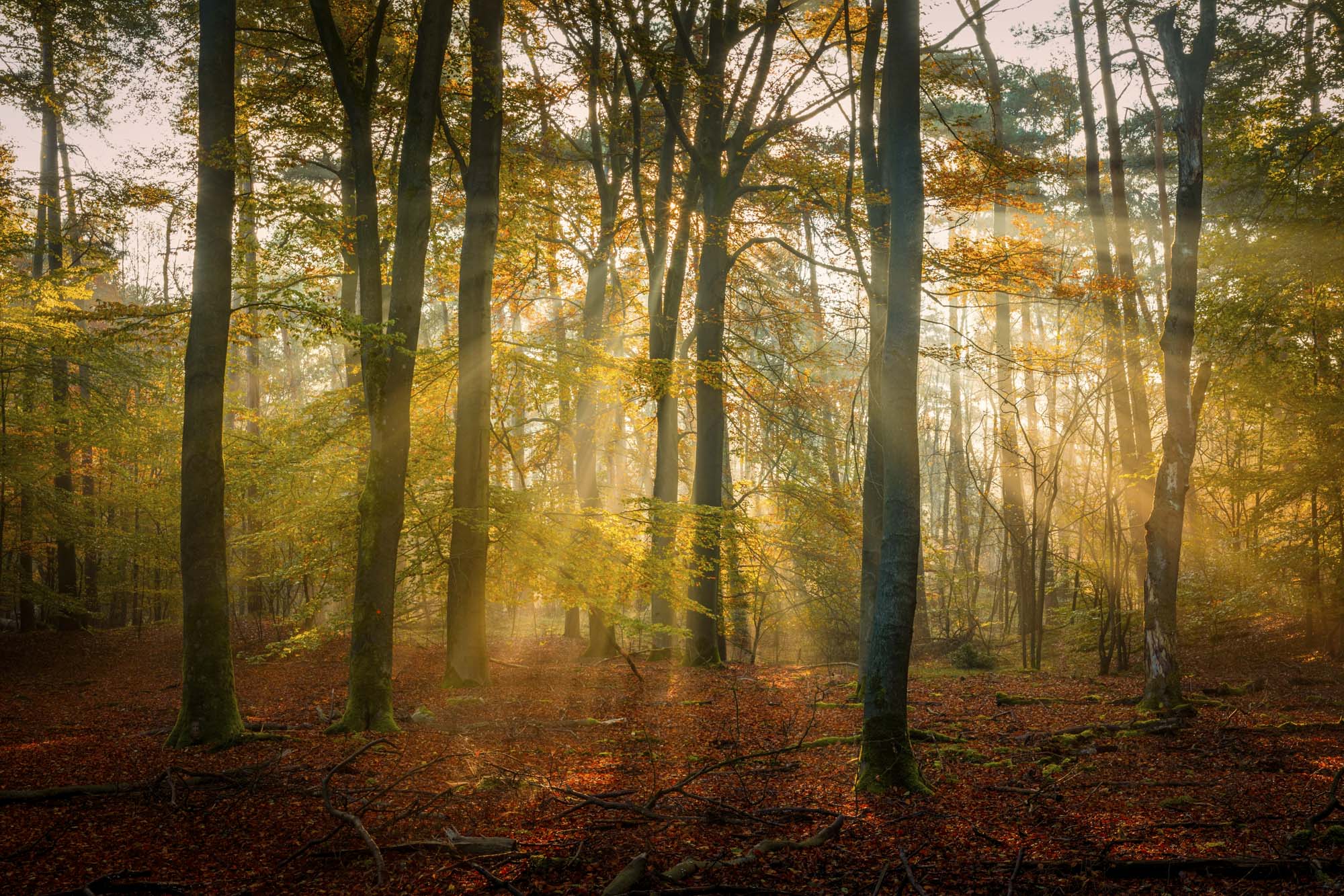 Waar het licht straalt