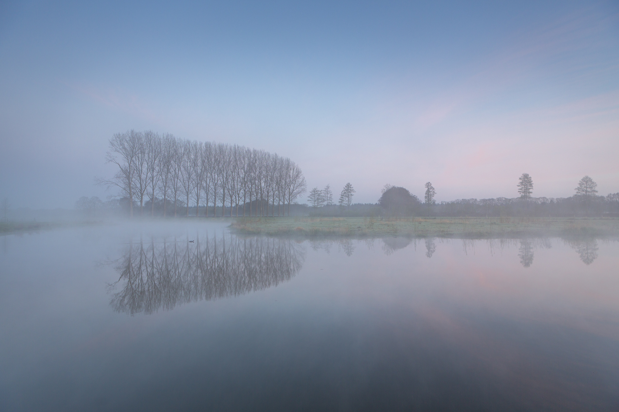 Stukje zwemmen in de mist