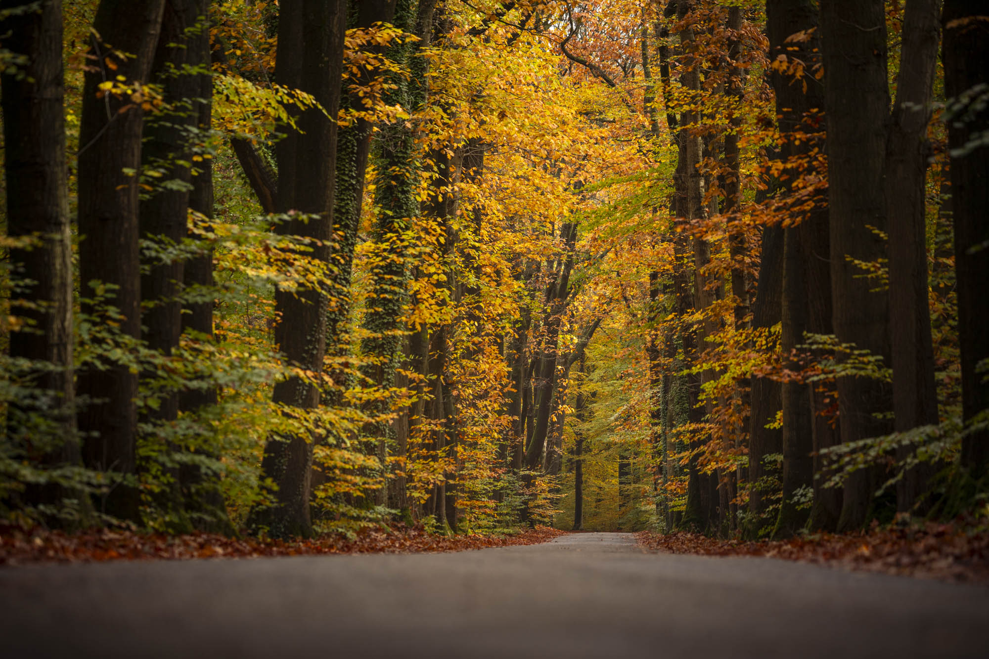Hier kan ik wel aan wennen