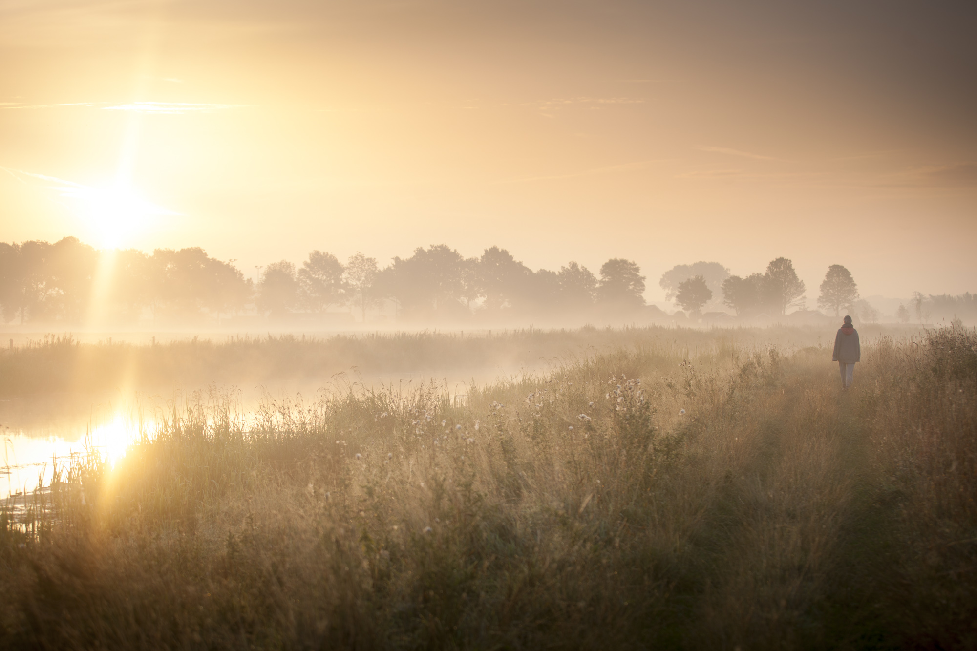 Wakker worden in de zomer