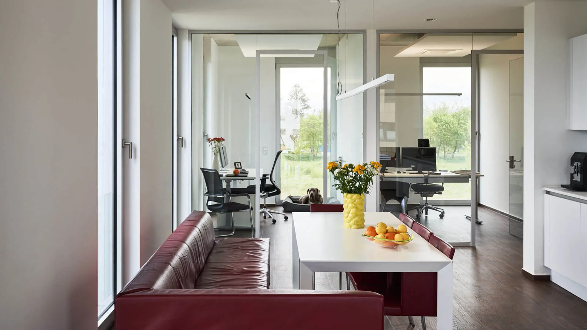 Modern office with red leather couch, white table with flowers and fruit, glass-walled meeting rooms, and dog bed.